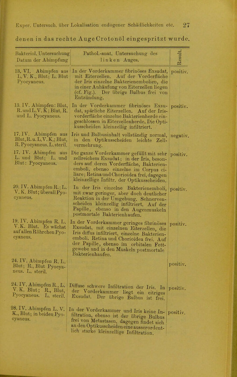 denen in das rechte AugeCrotonöl eingespritzt wurde. Bakteriol. Untersuchung Datum der Abimpfimg Pathol.-auat, Untersuchung des linken Auges, 13. VI. Abimpfen aus L.V.X., Blut; L. Blut Pvocvaneus. In der Vorderkammer fibrinöses Exsudat, mit Eiterzellen. Auf der Vorderfläche der L'is einzelne Bakterienembolien, die in einer Anhäufung von Eiterzellen liegen (cf. Fig.). Der übrige Bulbus frei von Entzündung. In der Vorderkammer fibrinöses Exsu- dat, spärliche Eiterzellen. Auf der Iris- vorderfläche einzelne Bakterienherde ein- geschlossen in Eiterzellenherde, Die Opti- kusscheiden kleinzellig infiltriert, 17. IV. Abimpfen aus Iris und Bulbusinhalt vollständig normal, Blut,R.u.L.V.K:.;Blut, I in den Optikusscheiden leichte Zell- 13. IV. Abimpfen: Blut, R. und L.V.K; Blut, R. und L. Pyocyaneus. ß.Pyocyaneus.L. steril, 17. IV. Abimpfen aus L. und Blut; L, und Blut: Pyocyaneus, 20. IV, AbimpfeuR.;L. V.X. Blut; überallPyo- cvaneus. 19. IV. Abimpfen R. L. V.K. Blut. Es wächst auf allen Röhrchen Pyo- cyaneus. 24. IV. Abimpfen R, L, Blut; R., Blut Pyocya- neus, L, steril. 24, IV, Abirapfen R.,L. V. K, Blut; R., Blut, Pyocyaneus. L. steril. 28. IV, Abimpfen L, V, K,, Blut; in beiden Pyo- cyaneus, Vermehrung, Die ganze Vorderkammer gefüllt mit sehr zellreichem Exsudat; in der Iris, beson- ders auf deren Vorderfläche, ßakterien- emboü, ebenso einzelne im Corpus ci- liare; Retina und Chorioidea frei, dagegen kleinzellige Infiltr. der Optikusscheiden. In der Iris einzelne Bakterienemboli, mit zwar geringer, aber doch deutlicher Reaktion in der Umgebung. Sehnerven- scheiden kleinzeUig infiltriert. Auf der Papille, ebenso in den Augenmuskeln postmortale Bakterienhaufen, In der Vorderkammer geringes fibrinöses Exsudat, mit einzelnen Eiterzellen, die Iris diffus infiltriert, einzelne Bakterien- emboli, Retina und Chorioidea frei. Auf der Papille, ebenso im orbitalen Fett- gewebe und in den Muskeln postmortale Bakterienhaufen. Diffuse schwere Infiltration der Iris. In der Vorderkammer liegt ein eitriges Exsudat. Der übrige Bulbus ist frei. In der Vorderkammer und Iris keine In- filtration, ebenso ist der übrige Bulbus frei von Metastasen, dagegen findet sich an den Optikusscheiden eine ausserordent- lich starke kleinzellige Infiltration positiv. positiv.