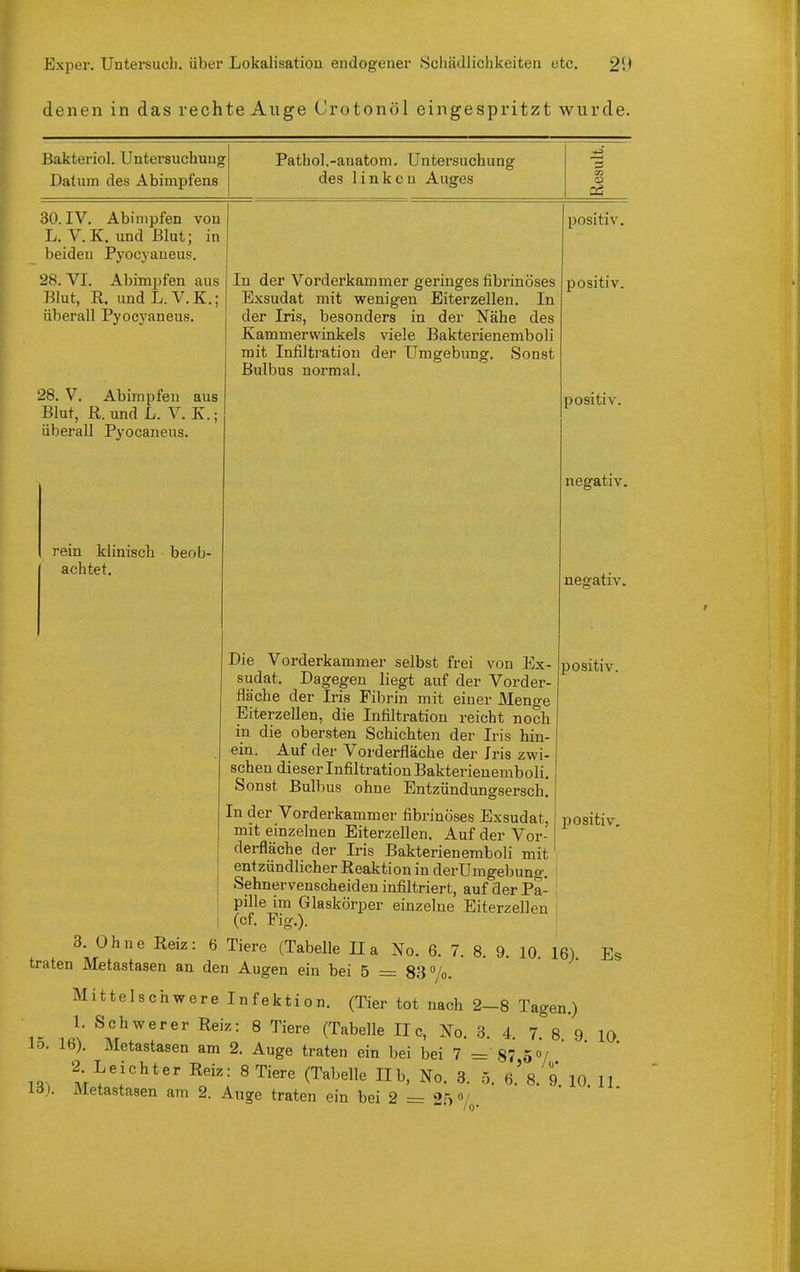 denen in das rechte Auge Crotonöl eingespritzt wurde. Bakteriol. Untersuchung Datum des Abimpfens Pathol.-anatoni. Untersuchung des linken Auges 30. IV. Abimpfen von L. V.K. und Blut; in beiden Pyocyaueus. 28. VI. Abimpfen aus Blut, R. und L.V.K.; überall Pyocyaneus. 28. V. Abimpfeu aus Blut, R. und L. V. K.; überall Pyocaneus. In der Vorderkammer geringes fibrinöses Exsudat mit wenigen Eiterzellen. In der Iris, besonders in der Nähe des Kammerwinkels viele Bakterienemboli mit Infiltration der Umgebung. Sonst Bulbus normal. rein klinisch beob- achtet. positiv. positiv. positiv. negativ. negativ. positiv. positiv. Die Vorderkammer selbst frei von Ex- sudat. Dagegen liegt auf der Vorder- fläche der Iris Fibrin mit eiuer Menge Eiterzellen, die Infiltration reicht noch in die obersten Schichten der Iris hin- ein. Auf der Vorderfläche der Iris zwi- schen dieser Infiltration Bakterienemboli. Sonst Bulbus ohne Entzündungsersch. In der Vorderkammer fibrinöses Exsudat, mit einzelnen Eiterzellen. Auf der Vor- i j derfläche der Iris Bakterienemboli mit' ; entzündlicher Reaktion in derUragebung. i : Sehnervenscheiden infiltriert, auf der Pa- i i pille im Glaskörper einzelne Eiterzellen ' ! (cf. Fig.). 3. Ohne Reiz: 6 Tiere (Tabelle IIa No. 6. 7. 8. 9. 10. 16) Es traten Metastasen an den Augen ein bei 5 = 83 /o. Mittelschwere Infektion. (Tier tot nach 2-8 Tagen.) • 1. Schwerer Reiz: 8 Tiere (Tabelle II c, No. 3. 4. T^B 9 10 lo. 16). Metastasen am 2. Auge traten ein bei bei 7 = 87 5»/ 2 Leichter Reiz: 8 Tiere (Tabelle IIb, No. 3. .5. 6.'8. 9. 10. 11 id). Metastasen am 2. Auge traten ein bei 2 = '>'^o/