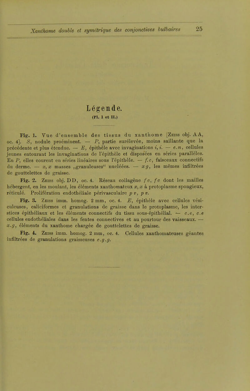 Lögende. (PL I et II.) Fig. 1. Vue d'ensemble des tissus du xanthome [Zeiss obj. AA, oc. 4]. »5, nodule proeminent. — P, partie surelevee, moins saillaute que la precedente et plus etendue. — E, epithele avec invaginations i, i. — e.n, cellules jeunes entourant les invaginations de l'epithele et disposees en series paralleles. En P, elles courent en series lineaires sous l'epithele. — f.c, faisceaux connectifs du derme. — x, x masses „granuleuses nucleees. — xg, les memes infiltrees de gouttelettes de graisse. Fig. 2. Zeiss obj. DD, oc. 4. Reseau collagene fe, fc dont les mailies hebergent, en les moulant, les elements xantbomateux x,xk protoplasme spongieux, reticule. Proliferation endotheliale perivasculaire pv, pv. Fig. 3. Zeiss imm. homog. 2 mm, oc. 4. E, epithele avec cellules vesi- culeuses, caliciformes et granulations de graisse dans le protoplasme, les inter- stices epitheliaux et les elements connectifs du tissu sous-epithelial. — c.e, c.e cellules endotheliales dans les fentes connectives et au pourtour des vaisseaux. — x.g, elements du xanthome chargee de gouttelettes de graisse. Fig. 4. Zeiss imm. homog. 2 mm, oc. 4. Cellules xanthomateuses geantes infiltrees de granulations graisseuses c.g.g.