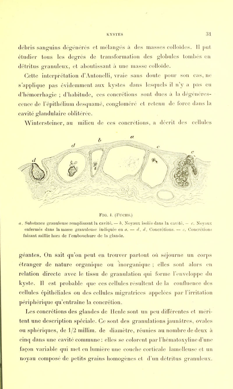 débris sanguins dégénérés et mélangés à des musses colloïdes. 11 put étudier tous les degrés de transformation des globules tombés en détritus granuleux, et aboutissant à une masse colloïde. Cette interprétation d'Antonelli, vraie sans doute pour son cas, ne s'applique pas évidemment aux kystes dons lesquels il n'y a pas eu d'bémorrhagie ; d'habitude, ces concrétions sont dues à la dégénéres- cence de l'épithélium desquamé, congloméré et retenu de force dans la cavité glandulaire oblitérée. Wintersteiner, au milieu de ces concrétions, a décrit des cellules FlG. 4. (Fuchs.) a. Substance granuleuse remplissant la cavité. — h. Noyaux isolés dans la cavité. — c. Noyaux enfermés dans la masse granuleuse indiquée en a. — il. d. Concrétions. — e. Concrétions faisant saillie hors de l'embouchure de la glande. géantes. On sait qu'on peut en trouver partout où séjourne un corps étranger de nature organique ou inorganique ; elles sont alors en relation directe avec le tissu de granulation qui forme l'enveloppe du kyste. 11 est probable que ces cellules résultent de la confluence des cellules épithéliales ou des cellules migratrices appelées par l'irritation périphérique qu'entraîne la concrétion. Les concrétions des glandes de iïenle sont un peu différentes et méri- tent une description spéciale. Ce sont des granulations jaunâtres, ovales ou sphériques, de 1/2 millim. de diamètre, réunies au nombre de deux à cinq dans une cavité commune: elles se colorent parl'hématoxylined'une façon variable qui met en lumière une couche corticale lamelleusc et un noyau composé de petits grains homogènes et d'un détritus granuleux.