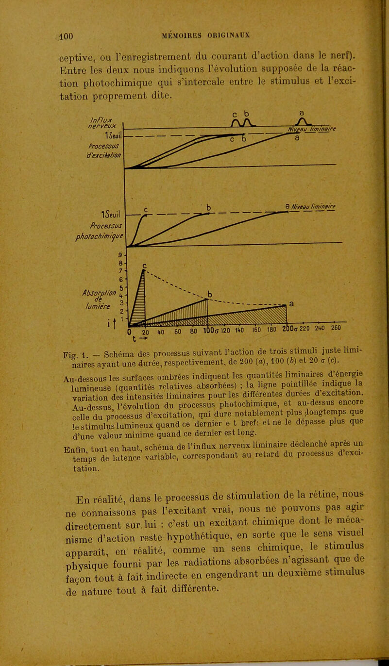 ceptive, ou l'enregistrement du courant d'action dans le nerf). Entre les deux nous indiquons l'évolution supposée de la réac- tion photochimique qui s'intercale entre le stimulus et l'exci- tation proprement dite. InHux nerveux ISeuil Processus d'excifalm iSeui Processus pholochimiijue fibsorplion ^ lumière \ 2 a Niveau liminaire Fiff 1 - Schéma des processus suivant l'action de trois stimuli juste limi- naires ayant une durée, respectivement, de 200 (a), 100 (6) et 20 r, (c). Au-dessous les surfaces ombrées indiquent les quantités liminaires d'énergie lumineuse (quantités relatives absorbées) ; la ligne pointillés indique la variation des intensités liminaires pour les différentes durées d excitation. Au-dessus l'évolution du processus photochimique, et au-dessus encore celle du processus d'excitation, qui dure notablement plus ilongtemps que >e stimulus lumineux quand ce dernier e t bref : et ne le dépasse plus que d'une valeur minime quand ce dernier est long. Enfin tout en haut, schéma de l'influx nerveux liminaire déclenché après un temps de latence variable, correspondant au retard du processus d'exci- tation. En réalité, dans le processus de stimulation de la rétine, nous ne connaissons pas l'excitant vrai, nous ne pouvons pas agir directement sur. lui : c'est un excitant chimique dont le méca- nisme d'action reste hypothétique, en sorte que le sens visuel apparaît, en réalité, comme un sens chimique, le stunulus physique fourni par les radiations absorbées n'agissant que de façon tout à fait indirecte en engendrant un deuxième stimulus de nature tout à fait différente.