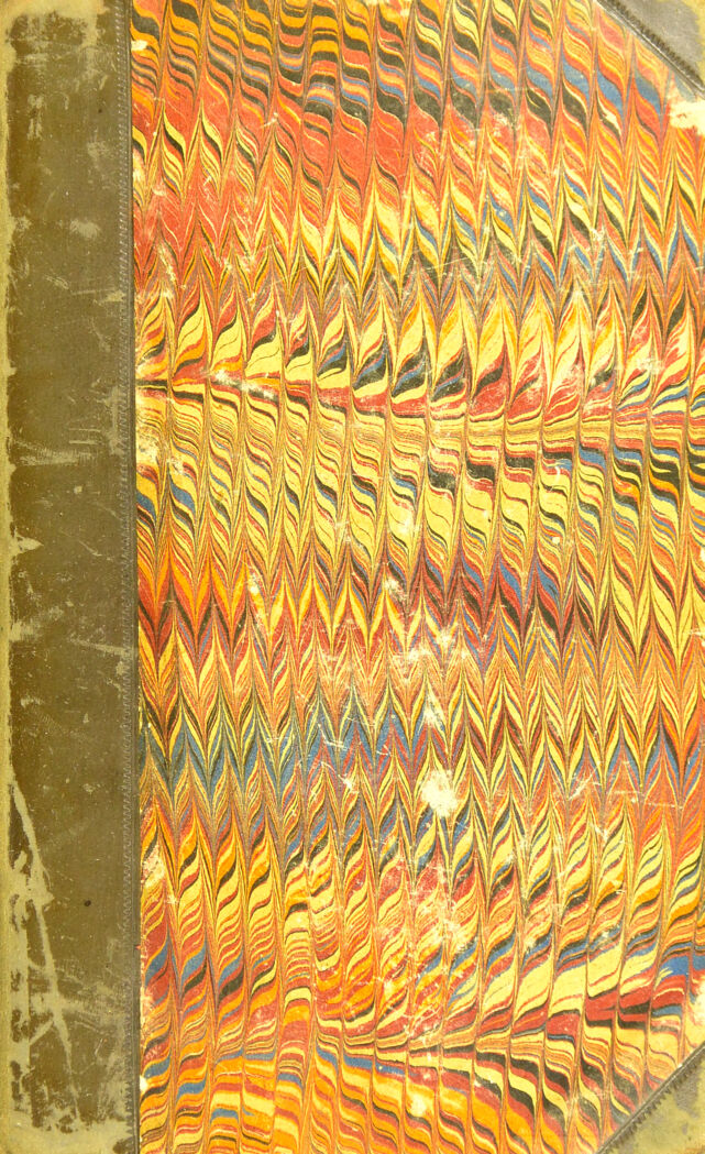 No text description is available for this image