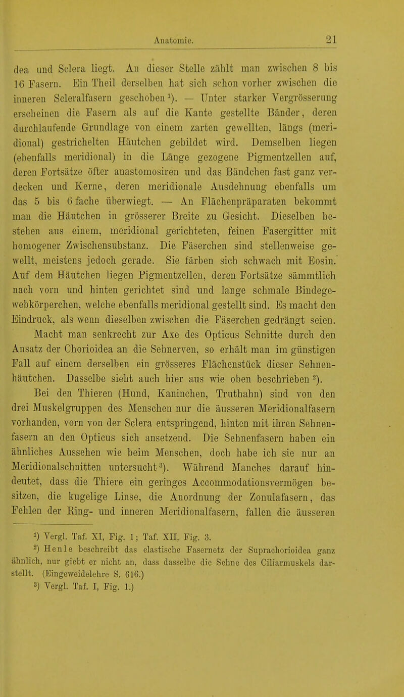 dea und Sclera liegt. An dieser Stelle zahlt man zwischen 8 bis 16 Pasern. Ein Tlieil derselben hat sich schon vorher zwischen die inneren Scleralfasern geschoben1). — Unter starker Vergrösserung erscheinen die Fasern als auf die Kante gestellte Bänder, deren durchlaufende Grundlage von einem zarten gewellten, längs (meri- dional) gestrichelten Häutchen gebildet wird. Demselben liegen (ebenfalls meridional) in die Lauge gezogene Pigmentzellen auf, deren Portsätze öfter anastomosiren und das Bändchen fast ganz ver- decken und Kerne, deren meridionale Ausdehnung ebenfalls um das 5 bis 6 fache überwiegt. — An Flächenpräparaten bekommt man die Häutchen in grösserer Breite zu Gesicht. Dieselben be- stehen aus einem, meridional gerichteten, feinen Fasergitter mit homogener Zwischensubstanz. Die Fäserchen sind stellenweise ge- wellt, meistens jedoch gerade. Sie färben sich schwach mit Eosin.' Auf dem Häufchen liegen Pigmentzellen, deren Fortsätze sämmtlich nach vorn und hinten gerichtet sind und lange schmale Bindege- webkörperchen, welche ebenfalls meridional gestellt sind. Es macht den Eindruck, als wenn dieselben zwischen die Fäserchen gedrängt seien. Macht man senkrecht zur Axe des Opticus Schnitte durch den Ansatz der Chorioidea an die Sehnerven, so erhält man im günstigen Fall auf einem derselben ein grösseres Flächenstück dieser Sehnen- häutchen. Dasselbe sieht auch hier aus wie oben beschrieben 2). Bei den Thieren (Hund, Kaninchen, Truthahn) sind von den drei Muskelgruppen des Menschen nur die äusseren Meridionalfasern vorhanden, vorn von der Sclera entspringend, hinten mit ihren Sehnen- fasern an den Opticus sich ansetzend. Die Sehnenfasern haben ein ähnliches Aussehen wie beim Menschen, doch habe ich sie nur an Meridionalschnitten untersucht3). Während Manches darauf hin- deutet, dass die Thiere ein geringes Accommodationsvermögen be- sitzen, die kugelige Linse, die Anordnung der Zonulafasern, das Fehlen der Ring- und inneren Meridionalfasern, fallen die äusseren !) Vergl. Taf. XI, Fig. 1; Taf. XII, Fig. 3. 2) He nie beschreibt das elastische Fasernetz der Suprachorioidca ganz ähnlich, nur giebt er nicht an, dass dasselbe die Sehne des Ciliarmuskels dar- stellt. (Eingeweidelehrc S. Gl6.) 3) Vergl. Taf. I, Fig. 1.)