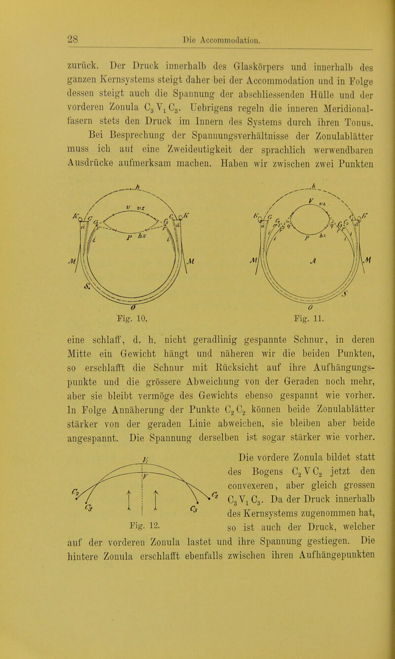 zurück. Der Druck innerhalb des Glaskörpers und innerhalb des ganzen Kernsystems steigt daher bei der Accommodation und in Folge dessen steigt auch die Spannung der abschliessenden Hülle und der vorderen Zonula CäY1Ga. Uebrigens regeln die inneren Meridional- f'asern stets den Druck im Innern des Systems durch ihren Tonus. Bei Besprechimg der Spannungsverhältnisse der Zonulablätter muss ich auf eine Zweideutigkeit der sprachlich ^verwendbaren Ausdrücke aufmerksam machen. Haben wir zwischen zwei Punkten eine schlaff, d. h. nicht geradlinig gespannte Schnur, in deren Mitte ein Gewicht hängt und näheren wir die beiden Punkten, so erschlafft die Schnur mit Bücksicht auf ihre Aufhängungs- puukte und die grössere Abweichung von der Geraden noch mehr, aber sie bleibt vermöge des Gewichts ebenso gespannt wie vorher. In Folge Annäherung der Punkte C2C2 können beide Zonulablätter stärker von der geraden Linie abweichen, sie bleiben aber beide angespannt. Die Spannung derselben ist sogar stärker wie vorher. auf der vorderen Zonula lastet und ihre Spannung gestiegen. Die hintere Zonula erschlafft ebenfalls zwischen ihren Aufhängepuukten Fig. 10. Fig. 11. Fig. 12. Die vordere Zonula bildet statt des Bogens C2VC2 jetzt den convexeren, aber gleich grossen C3V1C3. Da der Druck innerhalb des Kernsystems zugenommen hat, so ist auch der Druck, welcher