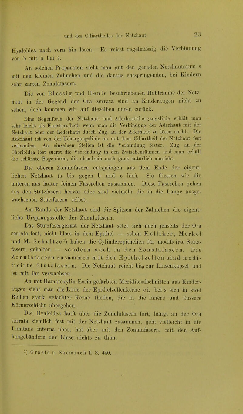Hyaloidea nach vorn hin lösen. Es reisst regelmässig die Verbindung von b mit a bei s. An solchen Präparaten sieht man gut den geraden Netzhautsaum s mit den kleinen Ziilnichen und die daraus entspringenden, bei Kindern sehr zarten Zonulafasern. Die von Blessig und Heule beschriebenen Hohlräume der Netz- haut in der Gegend der Ora serrata sind an Kinderaugen nicht zu sehen, doch kommen wir auf dieselben unten zurück. Eine Bogenform der Netzhaut- und Aderhautübergangslinie erhält man sehr leicht als Kunstproduct, wenn man die Verbindung der Aderhaut mit der Netzhaut oder der Lederhaut durch Zug an der Aderhaut zu lösen sucht. Die Aderhaut ist von der Uebergangslmie an mit dem Ciliaitheil der Netzhaut fest verbunden. An einzelnen Stellen ist die Verbindung fester. Zug an der Chorioidea löst zuerst die Verbindung in den Zwischenräumen und man erhält die schönste Bogenform, die obendrein noch ganz natürlich aussieht. Die oberen Zonulafasern entspringen aus dem Ende der eigent- lichen Netzhaut (s bis gegen b und c hin). Sie fliessen wie die unteren aus lauter feinen Fäserchen zusammen. Diese Fäserchen gehen aus den Stützfasern hervor oder sind vielmehr die in die Länge ausge- wachsenen Stützfasern selbst. . Am Bande der Netzhaut sind die Spitzen der Zähnchen die eigent- liche Ursprungsstelle der Zonulafasern. Das Stützfasergerüst der Netzhaut setzt sich noch jenseits der Ora serrata fort, nicht bloss in dem Epithel — schon Köllrker, Merkel und M. Schultze1) haben die Cylinderepithelien für modificirte Stütz- fasern gehalten — sondern auch in den Zonulafasern. Die Zonulafasern zusammen mit den Epithelzellen sind modi- ficirte Stützfasern. Die Netzhaut reicht bi%zur Linsenkapsel und ist mit ihr verwachsen. An mit Hämatoxylin-Eosin gefärbten Meridionalschnittcn aus Kinder- augen sieht man die Linie der Epithelzellenkerne c i, bei s sich in zwei Beihen stark gefärbter Kerne theilen, die in die innere und äussere Körnerschicht übergehen. Die Hyaloidea läuft über die Zonulafasern fort, hängt an der Ora serrata ziemlich fest mit der Netzhaut zusammen, geht vielleicht in die Limitans interna über, hat aber mit den Zonulafasern, mit den Auf- hängebändern der Linse nichts zu thun.