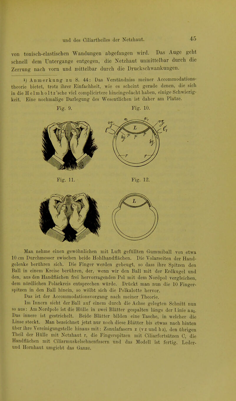 von tonisch-elastischen Wandungen abgefangen wird. Das Auge gehl schnell dem Untergange entgegen, die Netzhaut unmittelbar durch die Zerrung nach vorn und mittelbar durch die Druckschwankungen. i) Anmerkung zu S. 44: Das Verständniss meiner Aceommodations- theorie bietet, trotz ihrer Einfachheit, wie es scheint gerade denen, die sich in die Helmholtz'sche viel complicirtere hineingedacht haben, einige Schwierig- keit. Eine nochmalige Darlegung des Wesentlichen ist daher am Platze. Fig. 9. Fig. 10. Man nehme einen gewöhnlichen mit Luft gefüllten Gummihall von etwa 10 cm Durchmesser zwischen beide Hohlhandflächen. Die Volarseiten der Hand- gelenke berühren sich. Die Finger werden gebeugt, so dass ihre Spitzen den Ball in einem Kreise berühren, der, wenn wir den Ball mit der Erdkugel und den, aus den Handflächen frei hervorragenden Pol mit dem Nordpol vergleichen, dem nördlichen Polarkreis entsprechen würde. Drückt man nun die 10 Finger- spitzen in den Ball hinein, so wölbt sich die Polkalotte hervor. Das ist der Accommodationsvorgang nach meiner Theorie. Im Innern sieht der Ball auf einem durch die Achse gelegten Schnitt nun so aus: Am Nordpole ist die Hülle in zwei Blätter gespalten längs der Linie na,. Das innere ist gestrichelt. Beide Blätter bilden eine Tasche, in welcher die Linse steckt. Man bezeichnet jetzt nur noch diese Blätter bis etwas nach hinten über ihre Vereinigungstelle hinaus mit: Zonulafasern z (vzundhz), den übrigen Theü der Hülle mit Netzhaut r, die Fingerspitzen mit Ciliarfortsätzen C, die Handflächen mit Ciliarmuskelsehnenfasem und das Modell ist fertig. Leder- und Hornhaut umgiebt das Ganze.