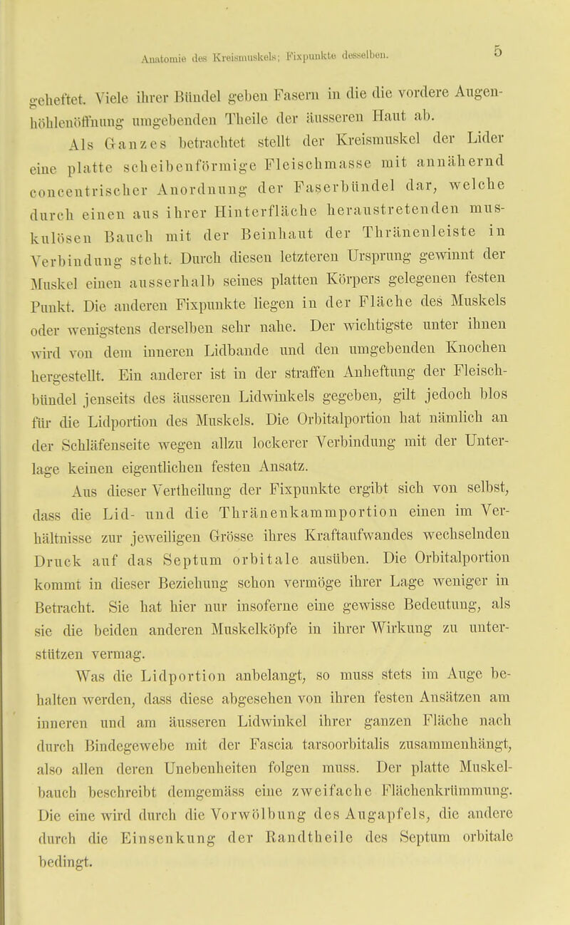 Aiwtomie dee Kreismuskels; Fixpunkte desselben. geheftet. Viele ihrer Bündel gehen Fasern in die die vordere Augen- höhlenöffnung umgebenden Theile der äusseren Haut ab. Als Ganzes betrachtet stellt der Kreismuskel der Lider eine platte scheibenförmige Fleischmasse mit annähernd eoncentriseher Anordnung der Faserbündel dar, welche durch einen aus ihrer Hinterfläche heraustretenden mus- kulösen Bauch mit der Beinhaut der Thränenleiste in Verbindung steht. Durch diesen letzteren Ursprung gewinnt der Muskel einen ausserhalb seines platten Körpers gelegenen festen Punkt. Die anderen Fixpunkte liegen in der Fläche des Muskels oder wenigstens derselben sehr nahe. Der wichtigste unter ihnen wird von dem inneren Lidbande und den umgebenden Knochen hergestellt. Ein anderer ist in der straffen Anheftimg der Fleisch- bündel jenseits des äusseren Lidwinkels gegeben, gilt jedoch blos für die Lidportion des Muskels. Die Orbitalportion hat nämlich an der Schläfenseite wegen allzu lockerer Verbindung mit der Unter- lage keinen eigentlichen festen Ansatz. Aus dieser Vertheilung der Fixpunkte ergibt sich von selbst, dass die Lid- und die Thränenkammportion einen im Ver- hältnisse zur jeweiligen Grösse ihres Kraftaufwandes wechselnden Druck auf das Septum orbitale ausüben. Die Orbitalportion kommt in dieser Beziehung schon vermöge ihrer Lage weniger in Betracht. Sie hat hier nur insoferne eine gewisse Bedeutung, als sie die beiden anderen Muskelköpfe in ihrer Wirkung zu unter- stützen vermag. Was die Lidportion anbelangt, so muss stets im Auge be- halten werden, dass diese abgesehen von ihren festen Ansätzen am inneren und am äusseren Lidwinkel ihrer ganzen Fläche nach durch Bindegewebe mit der Fascia tarsoorbitalis zusammenhängt, also allen deren Unebenheiten folgen muss. Der platte Muskel- baueb beschreibt demgemäss eine zweifache Flächenkrümmung. Die eine wird durch die Vorwölbung des Augapfels, die andere durch die Einsenkung der Randtheile des Septum orbitale bedingt.