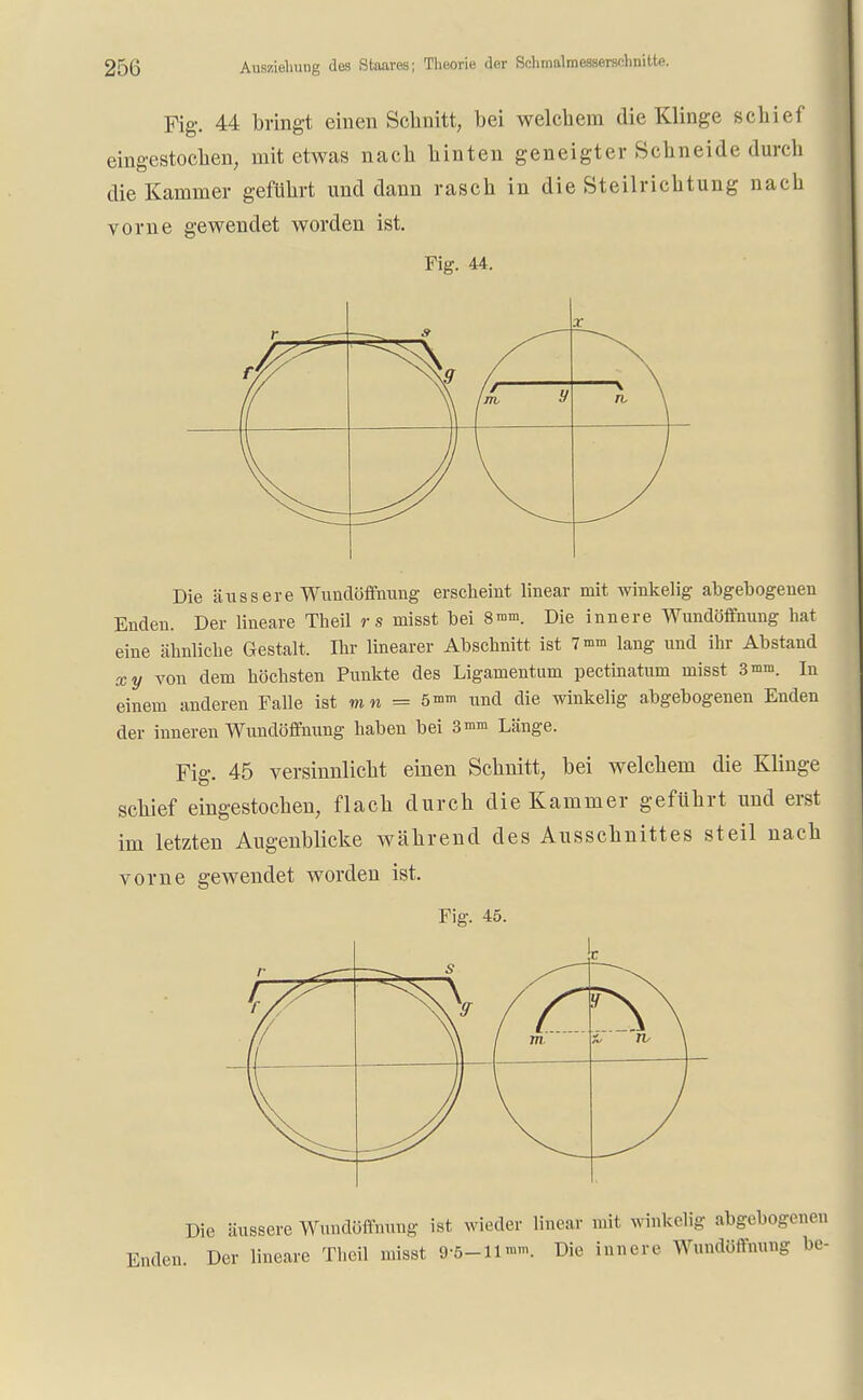 ein Fig. 44 bringt einen Schnitt, bei welchem die Klinge schief gestochen, mit etwas nach hinten geneigter Schneide durch die Kammer geführt und dann rasch in die Steilrichtung nach vorne gewendet worden ist. Fig. 44. r ^— -—~~. 9 ^— X V \ TL \ Die äussere Wundöffnung erscheint linear mit winkelig abgebogenen Enden. Der lineare Theil rs misst bei 8mm. Die innere Wundöffnung hat eine ähnliche Gestalt. Ihr linearer Abschnitt ist 7 mm lang und ihr Abstand xy von dem höchsten Punkte des Ligamentum pectinatum misst 3 mm. in einem anderen Falle ist mn = 5 mm und die winkelig abgebogenen Enden der inneren Wundöffnung haben bei 3 mm Länge. Fig. 45 versinnlicht einen Schnitt, bei welchem die Klinge schief eingestochen, flach durch die Kammer geführt und erst im letzten Augenblicke während des Ausschnittes steil nach vorne gewendet worden ist. Fig. 45. Die äussere Wundöffnung ist wieder linear mit winkelig abgebogenen Enden. Der lineare Theil misst 9-5-11 mm. Die innere Wundöffnung be-