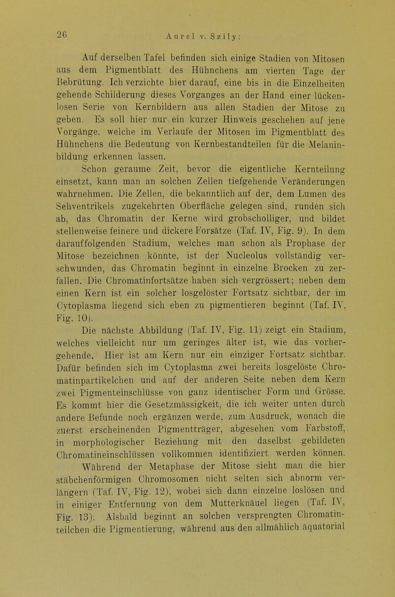 A 11 r c 1 v. S z i 1 y : Auf derselben Tafel befinden sich einige Stadien von Mitosen aus dem Pigmentblatt des Hühnchens am vierten Tage der Bebrütung. Ich verzichte hier darauf, eine bis in die Einzelheiten gehende Schilderung dieses Vorganges an der Hand einer lücken- losen Serie von Kernbildern aus allen Stadien der Mitose zu geben. Es soll hier nur ein kurzer Hinweis geschehen auf jene Vorgänge, welche im Verlaufe der Mitosen im Pigmentblatt des Hühnchens die Bedeutung von Kernbestandteilen für die Melanin- bildung erkennen lassen. Schon geraume Zeit, bevor die eigentliche Kernteilung einsetzt, kann man an solchen Zellen tiefgehende Veränderungen wahrnehmen. Die Zellen, die bekanntlich auf der, dem Lumen des Sehventrikels zugekehrten Oberfläche gelegen sind, runden sich ab, das Chromatin der Kerne wird grobscholliger, und bildet stellenweise feinere und dickere Forsätze (Taf. IV, Fig. 9). In dem darauffolgenden Stadium, welches man schon als Prophase der Mitose bezeichnen könnte, ist der Nucleolus vollständig ver- schwunden, das Chromatin beginnt in einzelne Brocken zu zer- fallen. Die Chromatinfortsätze haben sich vergrössert; neben dem einen Kern ist ein solcher losgelöster Fortsatz sichtbar, der im Cytoplasma liegend sich eben zu pigmentieren beginnt (Taf. IV, Fig. 10). Die nächste Abbildung (Taf. IV, Fig. 11) zeigt ein Stadium, welches vielleicht nur um geringes älter ist, wie das vorher- gehende. Hier ist am Kern nur ein einziger Fortsatz sichtbar. Dafür befinden sich im Cytoplasma zwei bereits losgelöste Chro- matinpartikelchen und auf der anderen Seite neben dem Kern zwei Pigmentein.schlüsse von ganz identischer Form und Grösse. Es kommt hier die Gesetzmässigkeit, die ich weiter unten durch andere Befunde noch ergänzen werde, zum Ausdruck, wonach die zuerst erscheinenden Pigmentträger, abgesehen vom Farbstoff', in morphologischer Beziehung mit den daselbst gebildeten Chromatineinschlüssen vollkommen identifiziert werden können. Während der Metaphase der Mitose sieht man die hier stäbchenförmigen Chromosomen nicht selten sich abnorm ver- längern (Taf. IV, Fig. 12), wobei sich dann einzelne loslösen und in einiger Entfernung von dem Mutterknäuel liegen (Taf. IV, Fig. 13). Alsbald beginnt an solchen versprengten Chromatin- teilchen die Pigmentierung, während aus den allmählich äquatorial