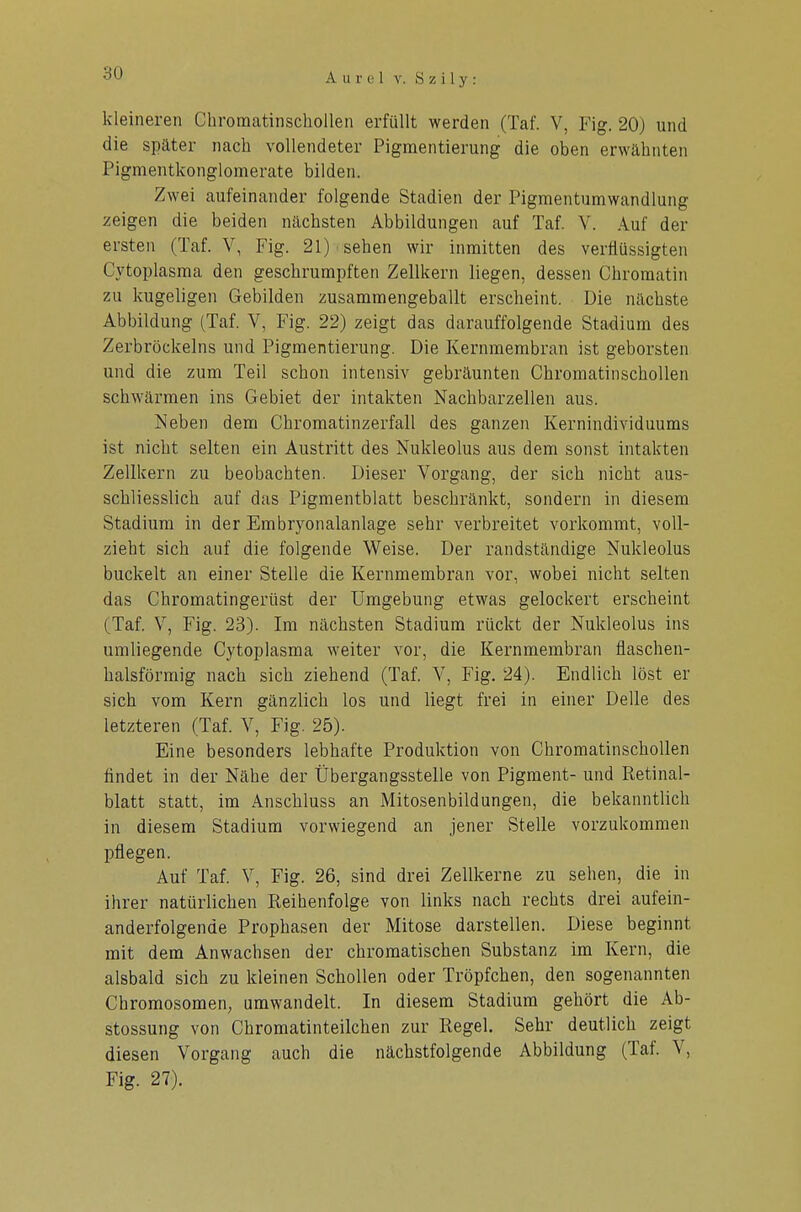 kleineren Chromatinschollen erfüllt werden (Taf. V, Fig. 20) und die später nach vollendeter Pigmentierung die oben erwähnten Pigmentkonglomerate bilden. Zwei aufeinander folgende Stadien der Pigmentumwandlung zeigen die beiden nächsten Abbildungen auf Taf. V. Auf der ersten (Taf. V, Fig. 21) sehen wir inmitten des verflüssigten Cytoplasma den geschrumpften Zellkern liegen, dessen Chromatin zu kugeligen Gebilden zusammengeballt erscheint. Die nächste Abbildung (Taf. V, Fig. 22) zeigt das darauffolgende Stadium des Zerbröckeins und Pigmentierung. Die Kernmembran ist geborsten und die zum Teil schon intensiv gebräunten Chromatinschollen schwärmen ins Gebiet der intakten Nachbarzellen aus. Neben dem Chromatinzerfall des ganzen Kernindividuums ist nicht selten ein Austritt des Nukleolus aus dem sonst intakten Zellkern zu beobachten. Dieser Vorgang, der sich nicht aus- schliesslich auf das Pigmentblatt beschränkt, sondern in diesem Stadium in der Embryonalanlage sehr verbreitet vorkommt, voll- zieht sich auf die folgende Weise. Der randständige Nukleolus buckelt an einer Stelle die Kernmembran vor, wobei nicht selten das Chromatingerüst der Umgebung etwas gelockert erscheint (Taf. V, Fig. 23). Im nächsten Stadium rückt der Nukleolus ins umliegende Cytoplasma weiter vor, die Kernmembran flaschen- halsförmig nach sich ziehend (Taf. V, Fig. 24). Endlich löst er sich vom Kern gänzlich los und liegt frei in einer Delle des letzteren (Taf. V, Fig. 25). Eine besonders lebhafte Produktion von Chromatinschollen findet in der Nähe der Übergangsstelle von Pigment- und Retinal- blatt statt, im Anschluss an Mitosenbildungen, die bekanntlich in diesem Stadium vorwiegend an jener Stelle vorzukommen pflegen. Auf Taf. V, Fig. 26, sind drei Zellkerne zu sehen, die in ihrer natürlichen Reihenfolge von links nach rechts drei aufein- anderfolgende Prophasen der Mitose darstellen. Diese beginnt mit dem Anwachsen der chromatischen Substanz im Kern, die alsbald sich zu kleinen Schollen oder Tröpfchen, den sogenannten Chromosomen, umwandelt. In diesem Stadium gehört die Ab- stossung von Chromatinteilchen zur Regel. Sehr deutlich zeigt diesen Vorgang auch die nächstfolgende Abbildung (Taf. V, Fig. 27).