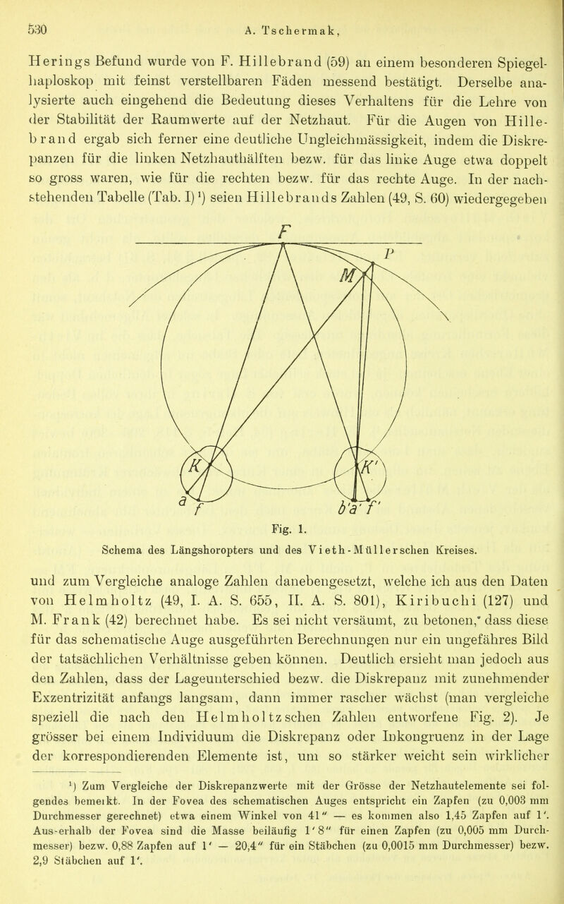 Herings Befund wurde von F. Hillebrand (59) an einem besonderen Spiegel- liaploskop mit feinst verstellbaren Fäden messend bestätigt. Derselbe ana- lysierte auch eingehend die Bedeutung dieses Verhaltens für die Lehre von der Stabilität der Raum werte auf der Netzhaut. Für die Augen von Hille- brand ergab sich ferner eine deutliche Ungleichmässigkeit, indem die Diskre- panzen für die linken Netzhauthälften bezw. für das linke Auge etwa doppelt so gross waren, wie für die rechten bezw. für das rechte Auge. In der nach- stehenden Tabelle (Tab. I) ^) seien Hillebrands Zahlen (49, S. 60) wiedergegeben F Fig. 1. Schema des Längshoropters und des Vieth-Müllerschen Kreises. und zum Vergleiche analoge Zahlen danebengesetzt, welche ich aus den Daten von Helmholtz (49, I. A. S. 655, IL A. S. 801), Kiribuchi (127) und M. Frank (42) berechnet habe. Es sei nicht versäumt, zu betonen, dass diese für das schematische Auge ausgeführten Berechnungen nur ein ungefähres Bild der tatsächlichen Verhältnisse geben können. DeutÜch ersieht man jedoch aus den Zahlen, dass der Lageunterschied bezw. die Diskrepanz mit zunehmender Exzentrizität anfangs langsam, dann immer rascher wächst (man vergleiche speziell die nach den Helmholtzsehen Zahlen entworfene Fig. 2). Je grösser bei einem Individuum die Diskrepanz oder Inkongruenz in der Lage der korrespondierenden Elemente ist, um so stärker weicht sein wirklicher ^) Zum Vergleiche der Diskrepanz werte mit der Grösse der Netzhautelemente sei fol- gendes bemeikt. In der Fovea des schematischen Auges entspricht ein Zapfen (zu 0,003 mm Durchmesser gerechnet) etwa einem Winkel von 41 — es kommen also 1,45 Zapfen auf 1'. Aus-erhalb der Fovea sind die Masse beiläufig 1'8 für einen Zapfen (zu 0,005 mm Durch- messer) bezw. 0,88 Zapfen auf T — 20,4 für ein Stäbchen (zu 0,0015 mm Durchmesser) bezw. 2,9 Stäbchen auf 1'.