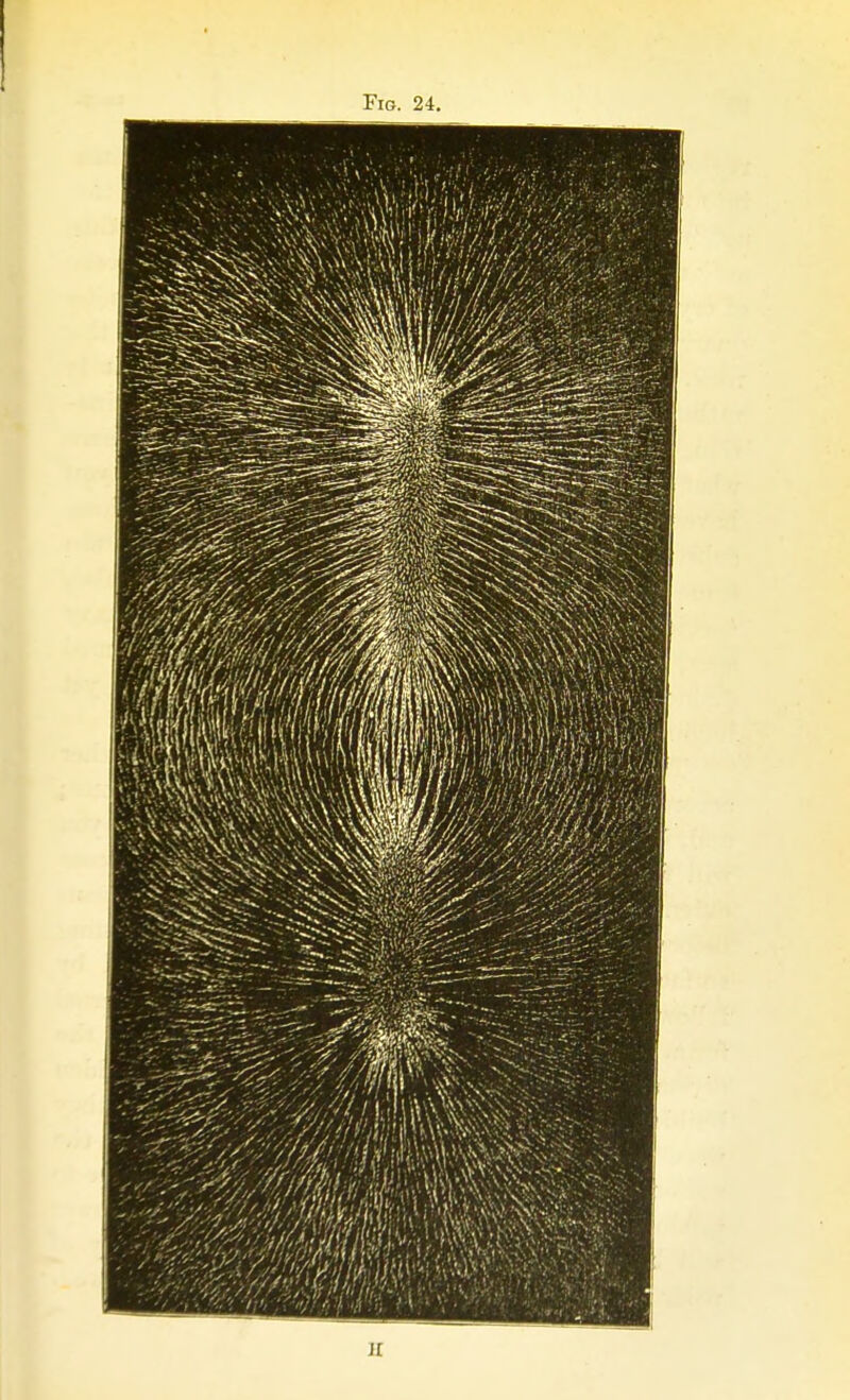 Fig. 24.