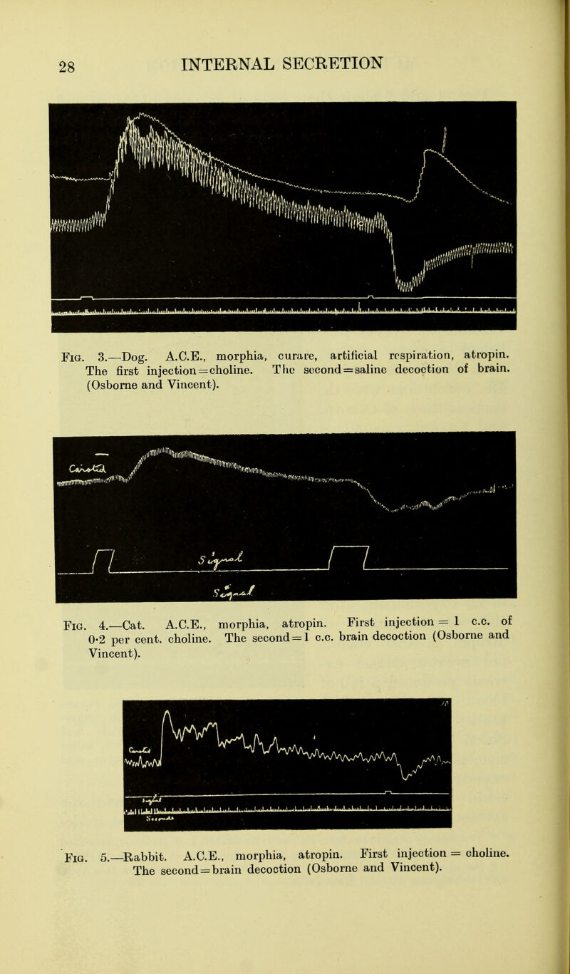 Fig, 3.—Dog. A.C.E., morphia, curare, artificial respiration, atropin. The first injection=choline. The second = saline decoction of brain. (Osborne and Vincent). -pm. 4.—Cat. A.C.E., morphia, atropin. First injection = 1 c.c. of 0-2 per cent, choline. The second=-l c.c. brain decoction (Osborne and Vincent). Fig. 5.—Rabbit. A.C.E., morphia, atropin. First injection = choline. The second = brain decoction (Osborne and Vincent).