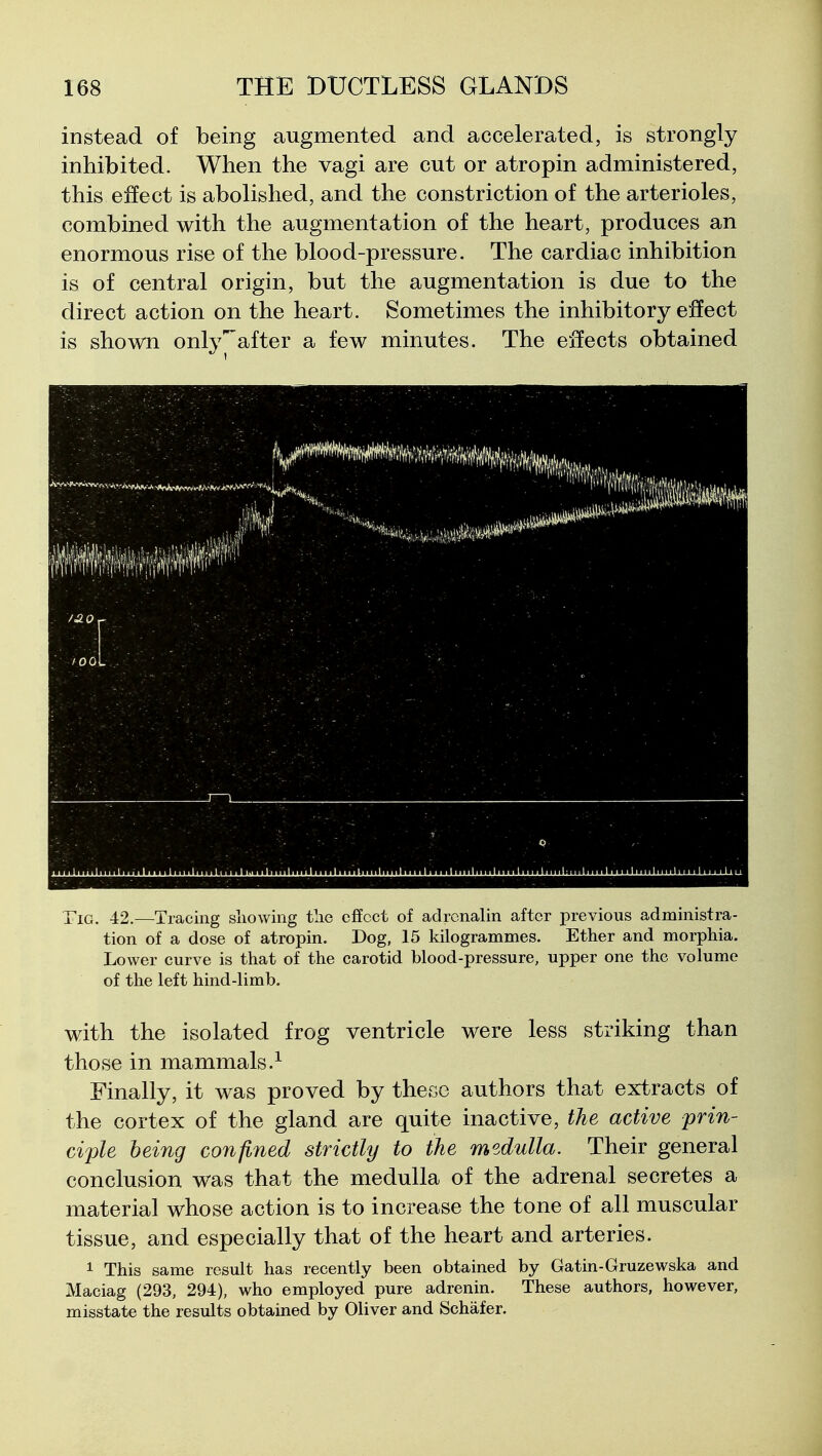 instead of being augmented and accelerated, is strongly inhibited. When the vagi are cut or atropin administered, this effect is abolished, and the constriction of the arterioles, combined with the augmentation of the heart, produces an enormous rise of the blood-pressure. The cardiac inhibition is of central origin, but the augmentation is due to the direct action on the heart. Sometimes the inhibitory effect is shown only after a few minutes. The effects obtained m j. - . - ■ - ■ ■ ~ ' d ni iliiiiliniliiMliiMlniilni.il 111 IhinliMiliuanMliiiaiuiliuiliiiilMulniilnnliniiinilnnlMiilniihiMl Tig. 42.—Tracing showing tlie effect of adrenalin after previous administra- tion of a dose of atropin. Dog, 15 kilogrammes. Ether and morphia. Lower curve is that of the carotid blood-pressure, upper one the volume of the left hind-limb. with the isolated frog ventricle were less striking than those in mammals.^ Finally, it was proved by these authors that extracts of the cortex of the gland are quite inactive, the active prin- ciple being confined strictly to the medulla. Their general conclusion was that the medulla of the adrenal secretes a material whose action is to increase the tone of all muscular tissue, and especially that of the heart and arteries. 1 This same result has recently been obtained by Gatin-Gruzewska and Maciag (293, 294), who employed pure adrenin. These authors, however, misstate the results obtained by Oliver and Schafer.