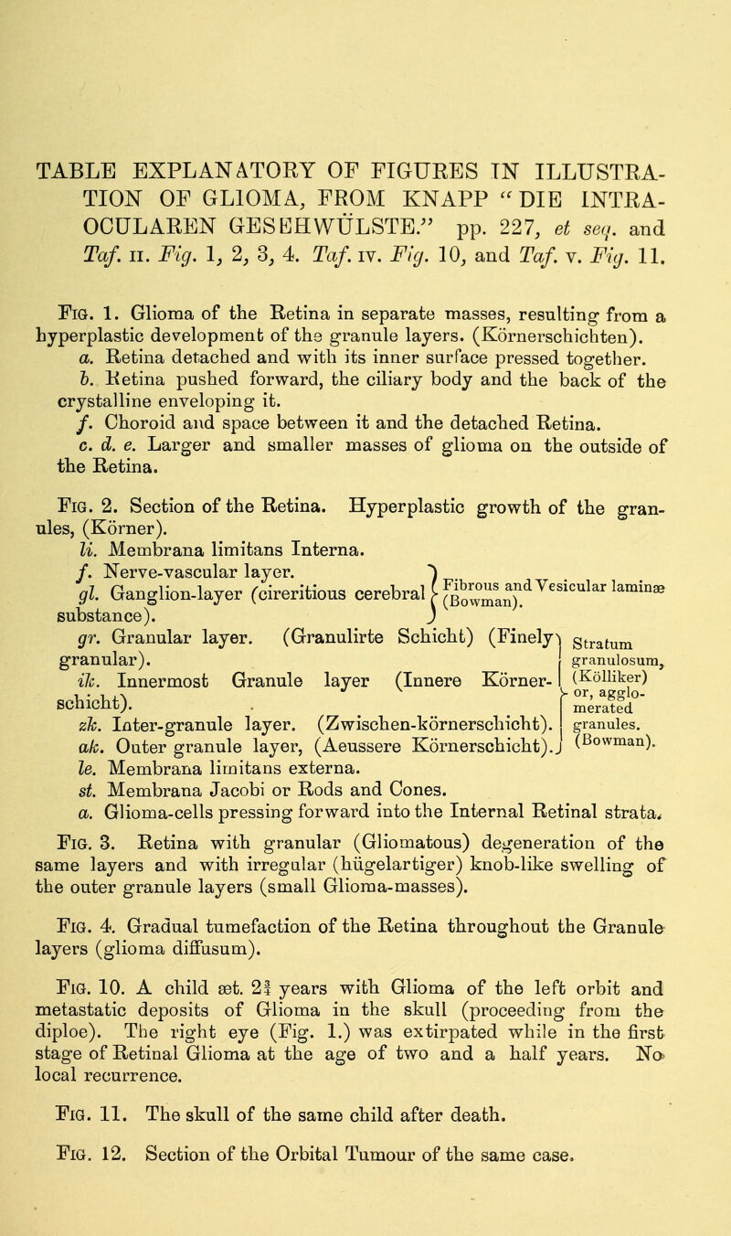 TABLE EXPLANATORY OF FIGURES IN ILLUSTRA- TION OF GLIOMA, FROM KNAPP DIB INTRA- OCULAREN GESKHWULSTE/^ pp. 227, et seq. and Taf, II. Fig. 1, 2, 3, 4. Taf. iv. Fig. 10, and Taf. v. Fig. 11. Fig. 1. Glioma of the Retina in separate masses, resulting- from a hyperplastic development of the granule layers. (Kornerschichten). a. Retina detached and with its inner surface pressed together. t. Retina pushed forward, the ciliary body and the back of the crystalline enveloping it. /. Choroid and space between it and the detached Retina. c. d. e. Larger and smaller masses of glioma on the outside of the Retina. Fig. 2. Section of the Retina. Hyperplastic growth of the gran- ules, (Korner). li. Membrana limitans Interna. /. Nerve-vascular layer. ') gl. Ganglion-layer (cireritious cerebral [ [^^^^^^^^^^^^^^^^^^ ^^^^^^ gr. Granular layer. (Granulirte Schicht) (Finely^ Stratum granular). granulosum, ilc. Innermost Granule layer (Innere Korner-1 (Kolliker) schicht). .... merated zk. Inter-granule layer. (Zwischen-kornerschicht). granules. ak. Outer granule layer, (Aeussere Kornerschicht).j (^o^^niaii)- le. Membrana limitans externa. st. Membrana Jacobi or Rods and Cones. a. Glioma-cells pressing forward into the Internal Retinal strata.^ Fig. 3. Retina with granular (Gliomatous) degeneration of the same layers and with irregalar (hiigelartiger) knob-like swelling of the outer granule layers (small Glioma-masses). Fig. 4. Gradual tumefaction of the Retina throughout the Granule layers (glioma diffusum). Fig. 10. a child 83t. 21 years with Glioma of the left orbit and metastatic deposits of Glioma in the skull (proceeding from the diploe). The right eye (Fig. 1.) was extirpated while in the first stage of Retinal Glioma at the age of two and a half years. No* local recurrence. Fig. 11. The skull of the same child after death. Fig. 12. Section of the Orbital Tumour of the same case.