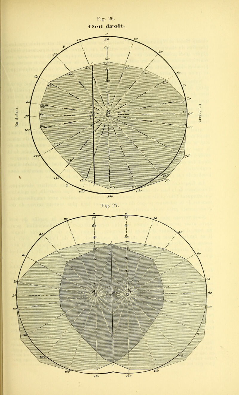 Fig. 2G. Oeil droit.