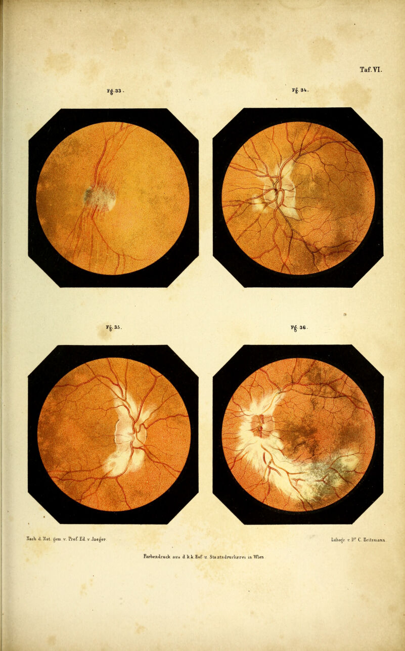 FarbeJiiruck aus d/k.k. Hof-u. Sta atsdnirlifij'w m Wira