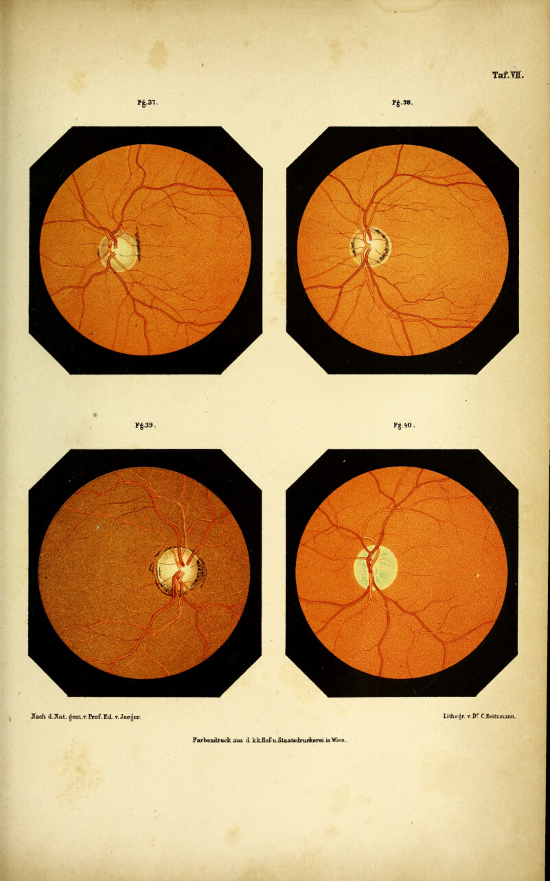 Fé.37. Pé.38. Farbendioick sus d.ktHoPu-StaatsdrudtereimWeiv.