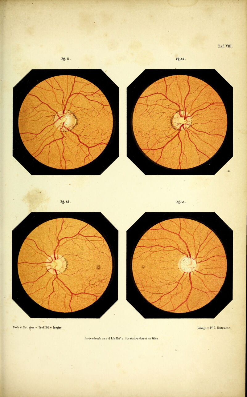 FnrbeTidrucTt aus d k.k ïïof-ii .SLanUdrurkerpi in Wicn