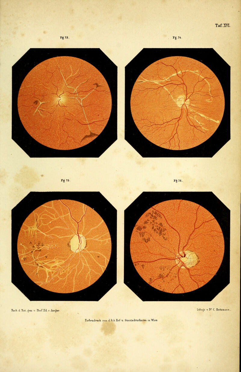 Té 73. litho^r T. C. flerlimann ,