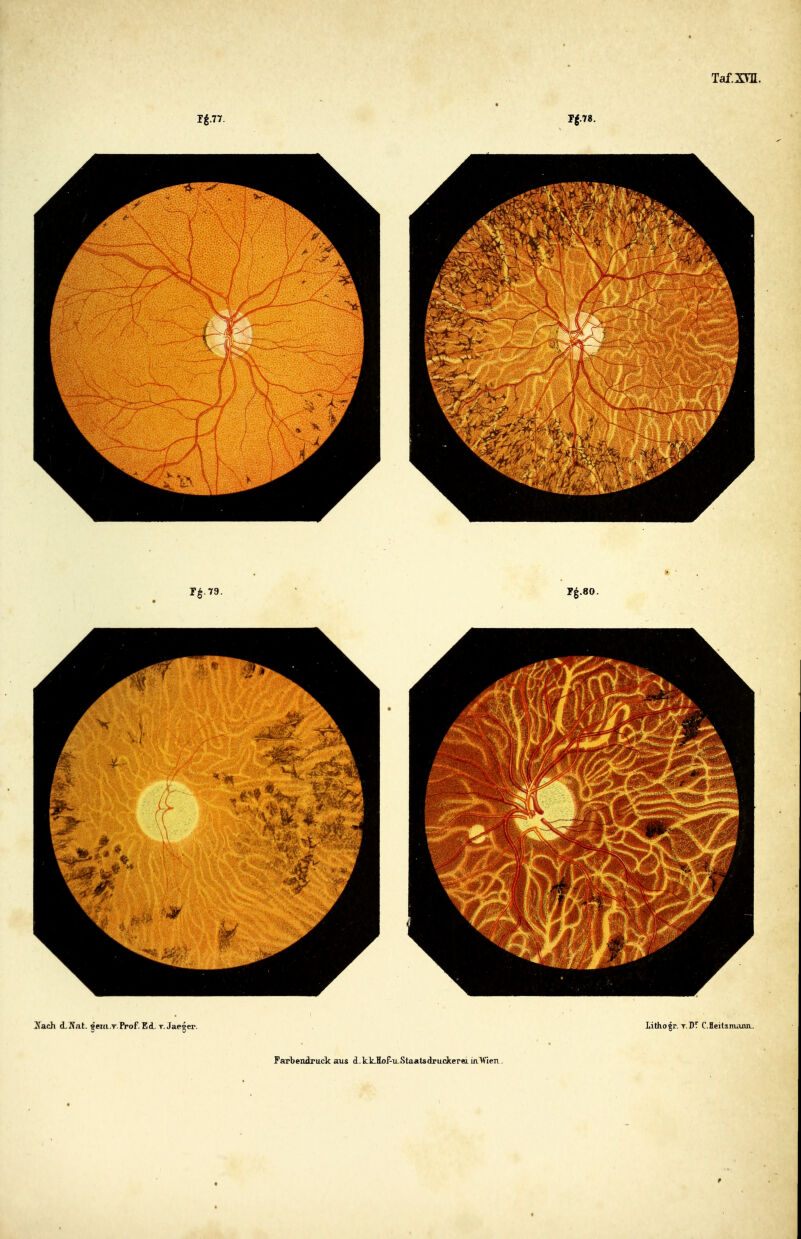 JTach iîJat. jeiti.T.Prof.Ei t. Jaeger. Farbendruck £cus d.kk-Hof-iLStaatsdruckeTeLin'W'ien, Lithogr. T.DT C.Heilznuuia.