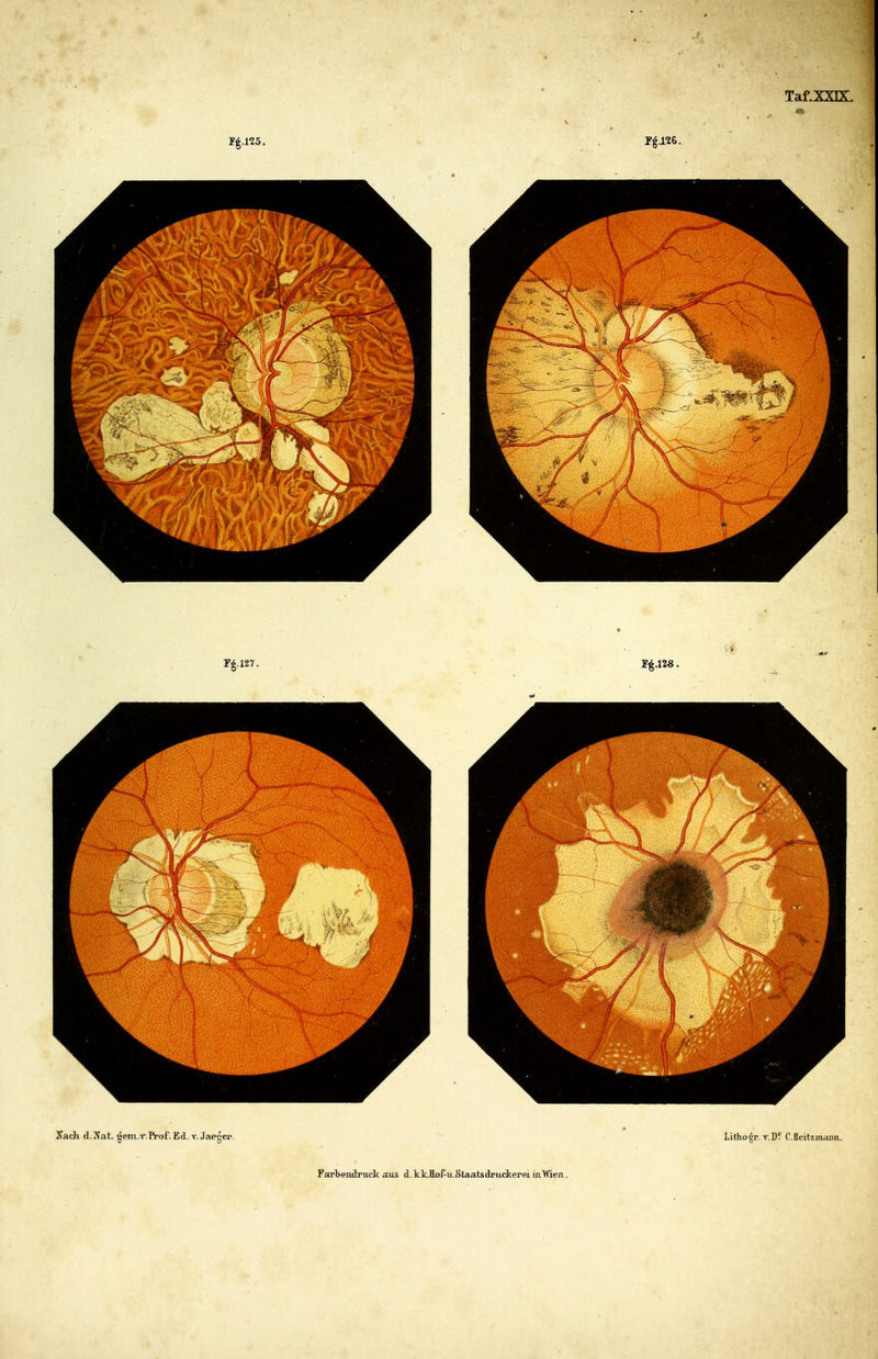 FarT)endruck aus d.klcHoPxLStaatadruckereLiaWea.