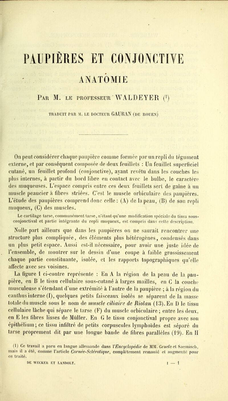 PAUPIÈRES ET CONJONCTIVE ANATOMIE Par m. le professeur WALDEYER (^) TRADUIT PAR M. LE DOCTEUR GAURAN (DE ROUEN) On peut considérer chaque paupière comme formée par un repli du tégument externe, et par conséquent composée de deux feuillets : Un feuillet superficiel cutané, un feuillet profond (conjonctive), ayant revêtu dans les couches les plus internes, à partir du bord libre en contact avec le bulbe, le caractère des muqueuses. L'espace compris entre ces deux feuillets sert de gaine à un muscle peaucier à fibres striées. C'est le muscle orbiculaire des paupières. L'étude des paupières comprend donc celle: (A) de la peau, (B) de son repli muqueux, (C) des muscles. Le cartilage tarse, communément tarse, n'étant qu'une modification spéciale du tissu sous- conjonctival et partie intégrante du repli muqueux, est compris dans cette description. Nulle part ailleurs que dans les paupières on ne saurait rencontrer une structure plus compliquée, des éléments plus hétérogènes, condensés dans un plus petit espace. Aussi est-il nécessaire, pour avoir une juste idée de l'ensemble, de montrer sur le dessin d'une coupe à faible grossissement chaque partie constituante, isolée, et les rapports topographiques qu'elle affecte avec ses voisines. La figure 1 ci-contre représente : En A la région de la peau de la pau- pière, en B le tissu cellulaire sous-cutané à larges mailles, en G la couche musculeuse s'étendant d'une extrémité à l'autre de la paupière ; à la région du canthus interne (1), quelques petits faisceaux isolés se séparent de la masse totale du muscle sous le nom de muscle ciliaire de Riolan (13). En D le tissu cellulaire lâche qui sépare le tarse (F) du muscle orbiculaire ; entre les deux, en E les fibres lisses de Millier. En G le tissu conjonctival propre avec son épithélium; ce tissu infiltré de petits corpuscules lymphoïdes est séparé du tarse proprement dit par une longue bande de fibres parallèles (19). En H (1) Ce travail a paru en langue allemande dans VEncyclopédie de MM. Graefe et Saemiscli, mais il a été, comme l'article Cornée-Sclérotique, complètement remanié et augmenté pour ce traité.