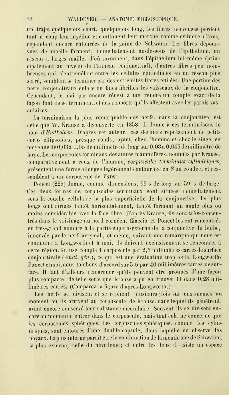 un trajet quelquefois court, quelquefois long-, les fibres nerveuses perdent tout à coup leur myéline et continuent leur marche comme cylindre d'axes, cependant encore entourées de la gaîne de Schwann. Les fibres dépour- vues de moelle forment, immédiatement au-dessous de l'épithélium, un réseau à larges mailles d'où rayonnent, dans l'épithélium lui-même (prin- cipalement au niveau de l'anneau cônjonctival), d'autres fibres peu nom- breuses qui, s'entrem.èlant entre les cellules épithéliales en un réseau plus serré, semblent se terminer par des extrémités libres effilées. Une portion des nerfs conjonctivaux enlace de fines fibrilles les vaisseaux de la conjonctive. Cependant, je n'ai pas encore réussi à me rendre un compte exact delà façon dont ils se terminent, et des rapports qu'ils affectent avec les parois vas- culaires. La terminaison la plus remarquable des nerfs, dans la conjonctive, est celle que W. Krause a découverte en 1858. Il donne à ces terminaisons le nom d'E7idkolben. D'après cet auteur, ces derniers représentent de petits corps ellipsoïdes, presque ronds, ayant, chez l'homme et chez le singe, en moyenne de 0,03à 0,05 de millimètre de long sur 0,03 à 0,045 de millimètre de large. Les corpuscules terminaux des autres mammifères, nommés par Krause, comparativement à ceux de l'homme, corpuscules terminaux cylindriques, présentent une forme allongée légèrement contournée en S ou coudée, et res- semblent à un corpuscule de Vater. Poncet (228) donne, comme dimensions, 99 y. de long sur 59 p. de large. Ces deux formes de corpuscules terminaux sont situées immédiatement sous la çouche cellulaire la plus superficielle de la conjonctive; les plus longs sont dirigés tantôt horizontalement, tantôt formant un angle plus ou moins considérable avec la face libre. D'après Krause, ils sont très-concen- trés dans le voisinage du bord cornéen. Ciaccio et Poncet les ont rencontrés en très-grand nombre à la partie supéro-externe de la conjonctive du bulbe, innervée par le nerf lacrymal ; et même, suivant une remarque qui nous est commune, à Longworth et à moi, ils doivent exclusivement se rencontrer à cette région. Krause compte 1 corpuscule par 2,5 millimètres carrés de surface conjonciivale {Ancit. gén.), ce qui est une évaluation trop forte. Longworth, Poncet et moi, nous tombons d'accord sur 5-6 par 40 millimètres carrés de sur- face. Il faut d'ailleurs remarquer qu'ils peuvent être groupés d'une façon plus compacte, de telle sorte que Krause a pu en trouver 11 dans 0,28 mil- limètres carrés. (Comparez la figure d'après Longworth.) Les nerfs se divisent et se replient plusieurs [ fois sur eux-mêmes au moment où ils arrivent au corpuscule de Krause, dans lequel ils pénètrent, ayant encore conservé leur substance médullaire. Souvent ils se divisent en- core au moment d'entrer dans le corpuscule, mais tout cela ne concerne que les corpuscules sphériques. Les corpuscules sphériques, comme les cylin- driques, sont entourés d'une double capsule, dans laquelle on observe des noyaux. La plus interne paraît être la continuation de la membrane de Schwann ; la plus externe, celle du névrilème; et entre les deux il existe un espace