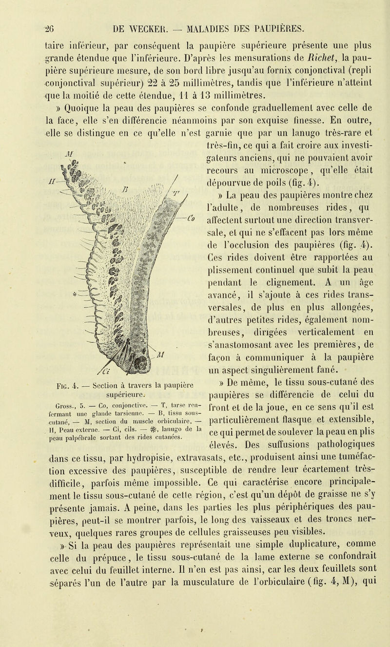 taire inférieur, par conséquent la paupière supérieure présente une plus grande étendue que l'inférieure. D'après les mensurations de Richet, la pau- pière supérieure mesure, de son bord libre jusqu'au fornix conjonctival (repli conjonctival supérieur) 22 à 25 millimètres, tandis que l'inférieure n'atteint que la moitié de cette étendue, 11 à 13 millimètres. » Quoique la peau des paupières se confonde graduellement avec celle de la face, elle s'en différencie néanmoins par son exquise finesse. En outre, elle se distingue en ce qu'elle n'est garnie que par un lanugo très-rare et très-fin, ce qui a fait croire aux investi- gateurs anciens, qui ne pouvaient avoir recours au microscope, qu'elle était dépourvue de poils (fig. 4). » La peau des paupières montre chez l'adulte, de nombreuses rides, qu affectent surtout une direction transver- sale, et qui ne s'effacent pas lors même de l'occlusion des paupières (fig. 4). Ces rides doivent être rapportées au plissement continuel que subit la peau pendant le clignement. A un âge avancé, il s'ajoute à ces rides trans- versales, de plus en plus allongées, d'autres petites rides, également nom- breuses, dirigées verticalement en s'anastomosant avec les premières, de façon à communiquer à la paupière un aspect singulièrement fané. » De même, le tissu sous-cutané des paupières se différencie de celui du front et de la joue, en ce sens qu'il est particulièrement flasque et extensible, ce qui permet de soulever la peau en plis élevés. Des suffusions pathologiques dans ce tissu, par hydropisie, extravasats, etc., produisent ainsi une tuméfac- tion excessive des paupières, susceptible de rendre leur écartement très- difficile, parfois même impossible. Ce qui caractérise encore principale- ment le tissu sous-cutané de cette région, c'est qu'un dépôt de graisse ne s'y présente jamais. A peine, dans les parties les plus périphériques des pau- pières, peut-il se montrer parfois, le long des vaisseaux et des troncs ner- Teux, quelques rares groupes de cellules graisseuses peu visibles. » Si la peau des paupières représentait une simple duplicature, comme celle du prépuce, le tissu sous-cutané de la lame externe se confondrait avec celui du feuillet interne. Il n'en est pas ainsi, car les deux feuillets sont séparés l'un de l'autre par la musculature de l'orbiculaire (fig. 4, M), qui FiG. 4. — Section à travers la paupière supérieure. Gross., 5. — Co, conjonctive. — ï, tarse ren- fermant une glande tarsienne. — B, tissu sous- cutané, — M, section du muscle orbiculaire. — H, Peau externe. — Ci, cils. — ^, lanugo de la peau palpébrale sortant des rides cutanées.