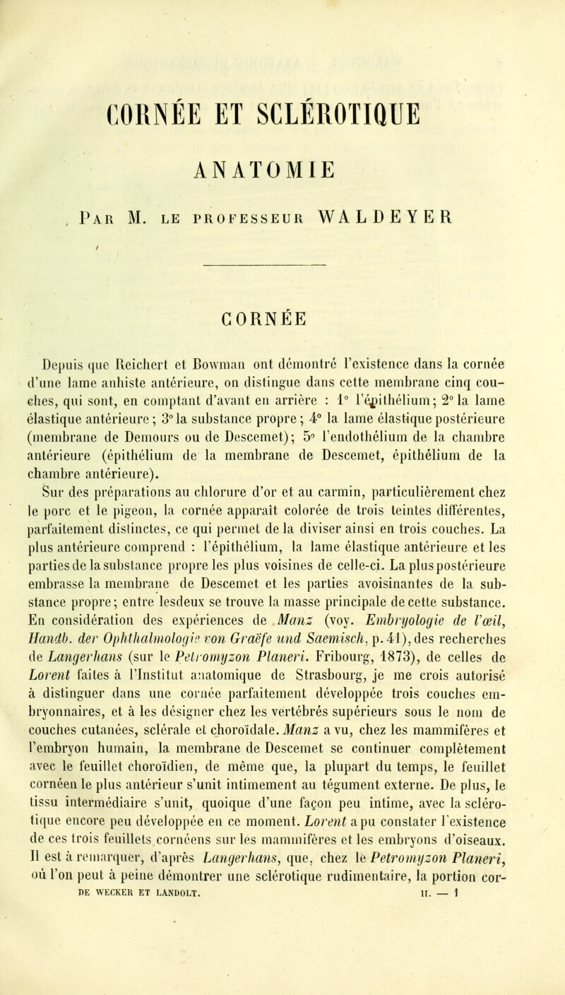 CORNÉE ET SCLÉROTIQUE ANATOMIE Par m. le professeur WALDEYER CORNÉE Depuis (|Lic Reichert et Bowmaii ont démontré l'existence dans la cornée d'une lame anhiste antérieure, on distingue dans cette membrane cinq cou- ches, qui sont, en comptaut d'avant en arrière : 1° réi)itliélium ; 2° la lame élastique antérieure ; 3° la substance propre ; 4° la lame élastique postérieure (membrane de Demours ou de Descemet); 5^ Tendothélium de la chambre antérieure (épithélium de la membrane de Descemet, épithélium de la chambre antérieure). Sur des préparations au chlorure d'or et au carmin, particulièrement chez le porc et le pigeon, la cornée apparaît colorée de trois teintes différentes, parfaitement distinctes, ce qui permet de la diviser ainsi en trois couches. La plus antérieure comprend : l'épithélium, la lame élastique antérieure et les parties de la substance propre les plus voisines de celle-ci. La plus postérieure embrasse la membrane de Descemet et les parties avoisinantes de la sub- stance propre; entre lesdeux se trouve la masse principale de cette substance. En considération des expériences de Manz (voy. Embryologie de Vœil, Handb. der Ophthalmologip von Graëfe und Saemisch, p. 41), des recherches de Langerhans (sur le Pelromyzon Planeri. Fribourg, 1873), de celles de Lovent faites à l'Institut anatomique de Strasbourg, je me crois autorisé à distinguer dans une cornée parfaitement développée trois couches em- bryonnaires, et à les désigner chez les vertébrés supérieurs sous le nom de couches cutanées, sclérale et choroïdale. ilf^ï?i;r a vu, chez les mammifères et l'embryon humain, la membrane de Descemet se continuer complètement avec le feuillet choroïdien, de même que, la plupart du temps, le feuillet cornéen le plus antérieur s'unit intimement au tégument externe. De plus, le tissu intermédiaire s'unit, quoique d'une façon peu intime, avec la scléro- tique encore peu développée en ce moment. Lorent a pu constater Texistence de ces trois feuillets cornéens sur les mammifères et les embryons d'oiseaux. Il est à remarquer, d'après Langerhans, que, chez \id Petroniyzon Planeri, où l'on peut à peine démontrer une sclérotique rudimentaire, la portion cor-