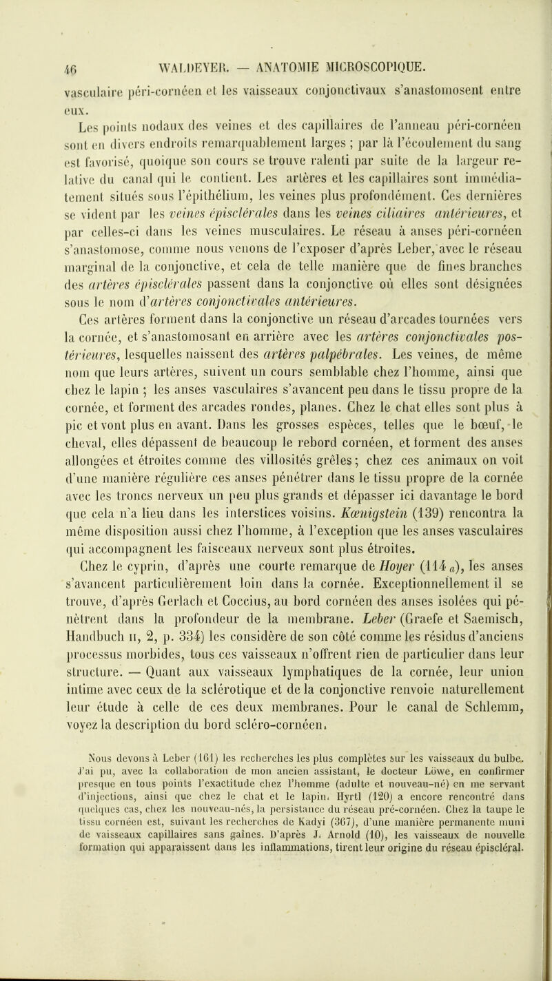 vuscLiljiiie péri-cornéen cl les vaisseaux conjonctivaux s'anastomosent entre eux. Les points nodaux des veines et des capillaires de l'anneau péri-cornéen sont en divers endroits remar({uablement larges ; par là l'écoulement du sang- est favorisé, quoique son cours se trouve ralenti par suite de la largeur re- lative du canal qui le contient. Les artères et les capillaires sont immédia- tement situés sous l'épithélium, les veines plus profondément. Ces dernières se vident })ar les veines épisclérales dans les veines ciliaires antérieures, et par celles-ci dans les veines musculaires. Le réseau à anses péri-cornéen s'anastomose, comme nous venons de l'exposer d'après Leber, avec le réseau marginal de la conjonctive, et cela de telle manière que de fines branches des artères épisclérales passent dans la conjonctive où elles sont désignées sous le nom d'artères conjonctivales antérieures. Ces artères forment dans la conjonctive un réseau d'arcades tournées vers la cornée, et s'anastomosant en arrière avec les artères conjonctivales pos- térieures, lesquelles naissent des artères palpébrales. Les veines, de même nom que leurs artères, suivent un cours semblable chez l'homme, ainsi que chez le lapin ; les anses vasculaires s'avancent peu dans le tissu propre de la cornée, et forment des arcades rondes, planes. Chez le chat elles sont plus à pic et vont plus en avant. Dans les grosses espèces, telles que le bœuf, le cheval, elles dépassent de beaucoup le rebord cornéen, et torment des anses allongées et étroites comme des villosités grêles; chez ces animaux on voit d'une manière réguHère ces anses pénétrer dans le tissu propre de la cornée avec les troncs nerveux un peu plus grands et dépasser ici davantage le bord que cela n'a lieu dans les interstices voisins. Kœnigstein (139) rencontra la même disposition aussi chez l'homme, à l'exception que les anses vasculaires qui accompagnent les faisceaux nerveux sont plus étroites. Chez le cyprin, d'après une courte remarque de Hoyer (114 les anses s'avancent particulièrement loin dans la cornée. Exceptionnellement il se trouve, d'après Gerlach et Coccius, au bord cornéen des anses isolées qui pé- nètrent dans la profondeur de la membrane. Leber (Graefe et Saemisch, Handbuch ii, 2, p. 334) les considère de son côté comme les résidus d'anciens processas morbides, tous ces vaisseaux n'offrent rien de particulier dans leur structure. — Quant aux vaisseaux lymphatiques de la cornée, leur union intime avec ceux de la sclérotique et de la conjonctive renvoie naturellement leur étude à celle de ces deux membranes. Pour le canal de Schlemm, voyez la description du bord scléro-cornéen. Nous devons à Leber (161) les recherches les plus complètes sur les vaisseaux du bulbe. J'ai pu, avec la collaboration de mon ancien assistant^ le docteur Ltiwe, en confirmer presque en tous points l'exactitude chez l'homme (adulte et nouveau-né) en me servant d'injections, ainsi que chez le chat et le lapin. Hyrtl (120) a encore rencontré dans ([luilqncs cas, chez les nouveau-nés, la persistance du réseau pré-cornéen. Chez la taupe le tissu cornéen est, suivant les recherches de Kadyi (367), d'une manière permanente muni de vaisseaux capillaires sans gaines. D'après h Arnold (10), les vaisseaux de nouvelle formation qui apparaissent dans les inflammations, tirent leur origine du réseau épiscléral.