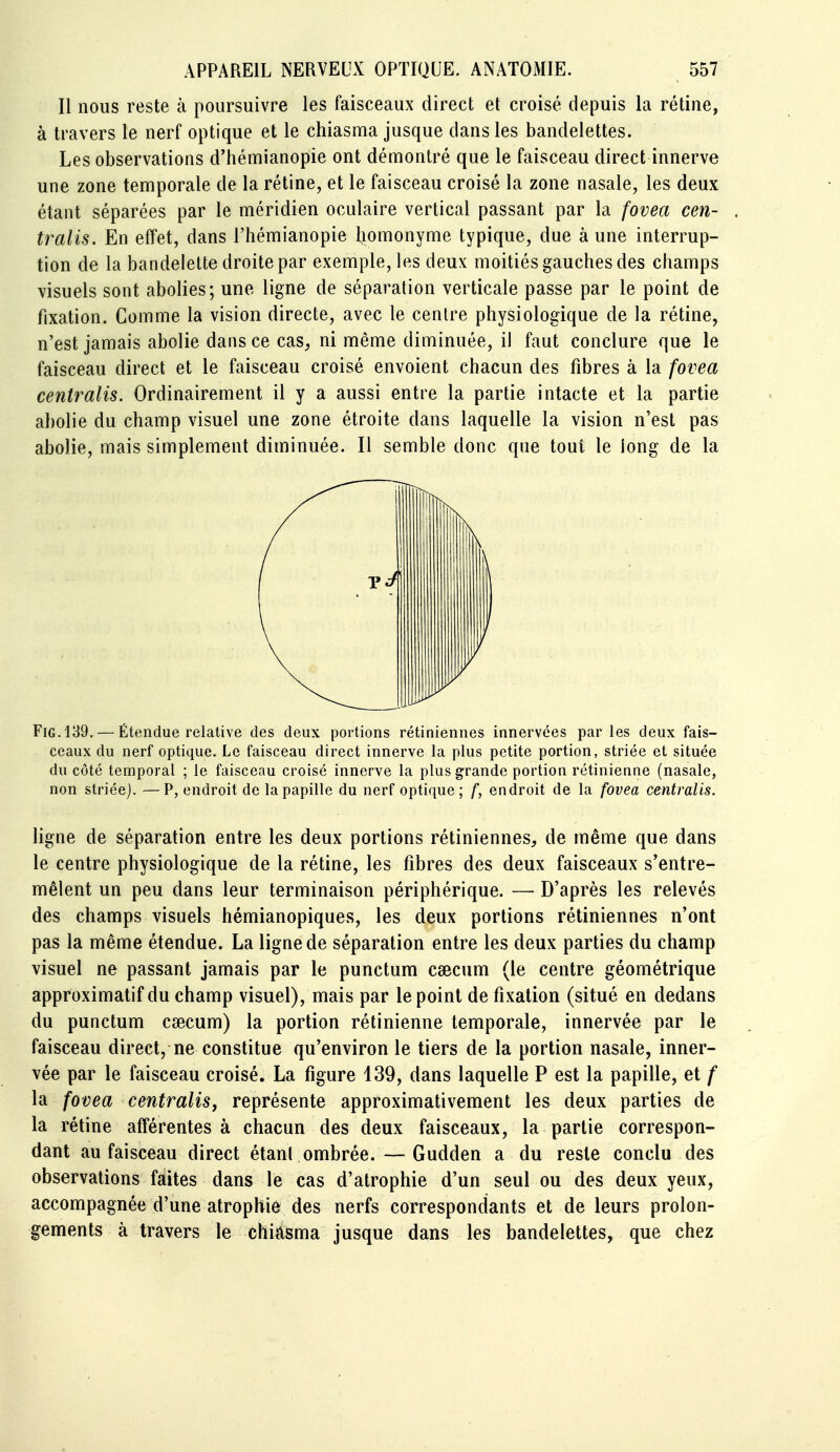 Il nous reste à poursuivre les faisceaux direct et croisé depuis la rétine, à travers le nerf optique et le chiasma jusque dans les bandelettes. Les observations d'hémianopie ont démontré que le faisceau direct innerve une zone temporale de la rétine, et le faisceau croisé la zone nasale, les deux étant séparées par le méridien oculaire vertical passant par la fovea cen- tralis. En effet, dans l'hémianopie homonyme typique, due à une interrup- tion de la bandelette droite par exemple, les deux moitiés gauches des champs visuels sont abolies; une ligne de séparation verticale passe par le point de fixation. Gomme la vision directe, avec le centre physiologique de la rétine, n'est jamais abolie dans ce cas, ni même diminuée, il faut conclure que le faisceau direct et le faisceau croisé envoient chacun des fibres à la fovea centralis. Ordinairement il y a aussi entre la partie intacte et la partie abolie du champ visuel une zone étroite dans laquelle la vision n'est pas abolie, mais simplement diminuée. Il semble donc que tout le long de la FiG.139. — Étendue relative des deux portions rétiniennes innervées par les deux fais- ceaux du nerf optique. Le faisceau direct innerve la plus petite portion, striée et située du côté temporal ; le faisceau croisé innerve la plus grande portion rétinienne (nasale, non striée). —P, endroit de la papille du nerf optique ; /, endroit de la fovea centralis. ligne de séparation entre les deux portions rétiniennes, de même que dans le centre physiologique de la rétine, les fibres des deux faisceaux s'entre- mêlent un peu dans leur terminaison périphérique. — D'après les relevés des champs visuels hémianopiques, les deux portions rétiniennes n'ont pas la même étendue. La ligne de séparation entre les deux parties du champ visuel ne passant jamais par le punctum caecum (le centre géométrique approximatif du champ visuel), mais par le point de fixation (situé en dedans du punctum caecum) la portion rétinienne temporale, innervée par le faisceau direct, ne constitue qu'environ le tiers de la portion nasale, inner- vée par le faisceau croisé. La figure 139, dans laquelle P est la papille, et / la fovea centralis, représente approximativement les deux parties de la rétine afférentes à chacun des deux faisceaux, la partie correspon- dant au faisceau direct étant ombrée. — Gudden a du reste conclu des observations faites dans le cas d'atrophie d'un seul ou des deux yeux, accompagnée d'une atrophie des nerfs correspondants et de leurs prolon- gements à travers le chiàsma jusque dans les bandelettes, que chez