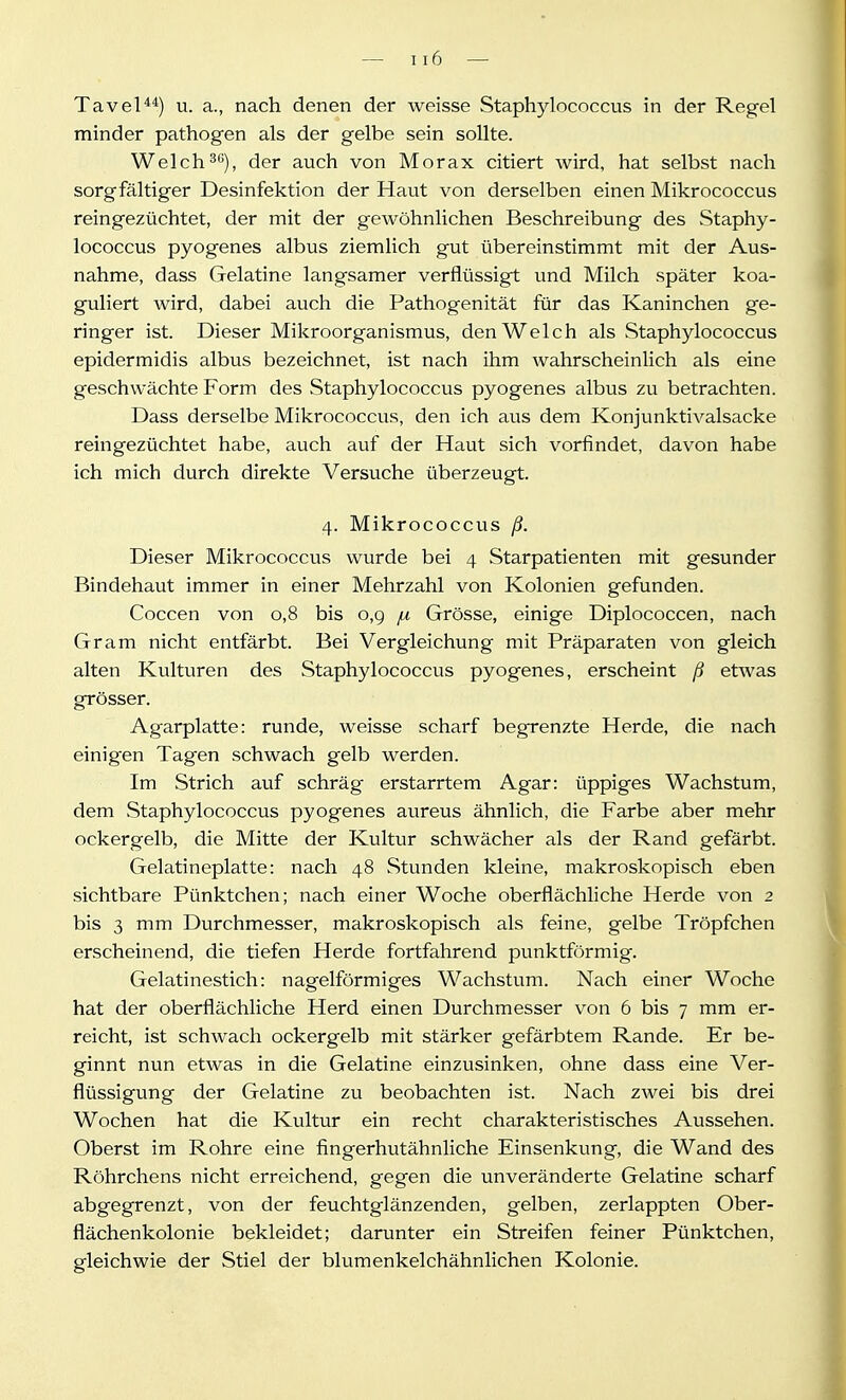 Tavel**) u. a., nach denen der weisse Staphylococcus in der Regfei minder pathogen als der gelbe sein sollte. Welch3), der auch von Morax citiert wird, hat selbst nach sorgfältiger Desinfektion der Haut von derselben einen Mikrococcus reingezüchtet, der mit der gewöhnlichen Beschreibung des vStaphy- lococcus pyogenes albus ziemlich gut übereinstimmt mit der Aus- nahme, dass Gelatine langsamer verflüssigt und Milch später koa- guliert wird, dabei auch die Pathogenität für das Kaninchen ge- ringer ist. Dieser Mikroorganismus, den Welch als Staphylococcus epidermidis albus bezeichnet, ist nach ihm wahrscheinlich als eine geschwächte Form des Staphylococcus pyogenes albus zu betrachten. Dass derselbe Mikrococcus, den ich aus dem Konjunktivalsacke reingezüchtet habe, auch auf der Haut sich vorfindet, davon habe ich mich durch direkte Versuche überzeugt. 4. Mikrococcus ß. Dieser Mikrococcus wurde bei 4 Starpatienten mit gesunder Bindehaut immer in einer Mehrzahl von Kolonien gefunden. Coccen von 0,8 bis o,g ju Grösse, einige Diplococcen, nach Gram nicht entfärbt. Bei Vergleichung mit Präparaten von gleich alten Kulturen des Staphylococcus pyogenes, erscheint ß etwas grösser. Agarplatte: runde, weisse scharf begrenzte Herde, die nach einigen Tagen schwach gelb werden. Im Strich auf schräg- erstarrtem Agar: üppiges Wachstum, dem Staphylococcus pyogenes aureus ähnlich, die Farbe aber mehr ockergelb, die Mitte der Kultur schwächer als der Rand gefärbt. Gelatineplatte: nach 48 Stunden kleine, makroskopisch eben sichtbare Pünktchen; nach einer Woche oberflächliche Herde von 2 bis 3 mm Durchmesser, makroskopisch als feine, gelbe Tröpfchen erscheinend, die tiefen Herde fortfahrend punktförmig. Gelatinestich: nagelförmiffes Wachstum. Nach einer Woche hat der oberflächliche Herd einen Durchmesser von 6 bis 7 mm er- reicht, ist schwach ockergelb mit stärker gefärbtem Rande. Er be- ginnt nun etwas in die Gelatine einzusinken, ohne dass eine Ver- flüssigung der Gelatine zu beobachten ist. Nach zwei bis drei Wochen hat die Kultur ein recht charakteristisches Aussehen. Oberst im Rohre eine fingerhutähnliche Einsenkung, die Wand des Röhrchens nicht erreichend, gegen die unveränderte Gelatine scharf abgegrenzt, von der feuchtglänzenden, gelben, zerlappten Ober- flächenkolonie bekleidet; darunter ein Streifen feiner Pünktchen, gleichwie der Stiel der blumenkelchähnlichen Kolonie.