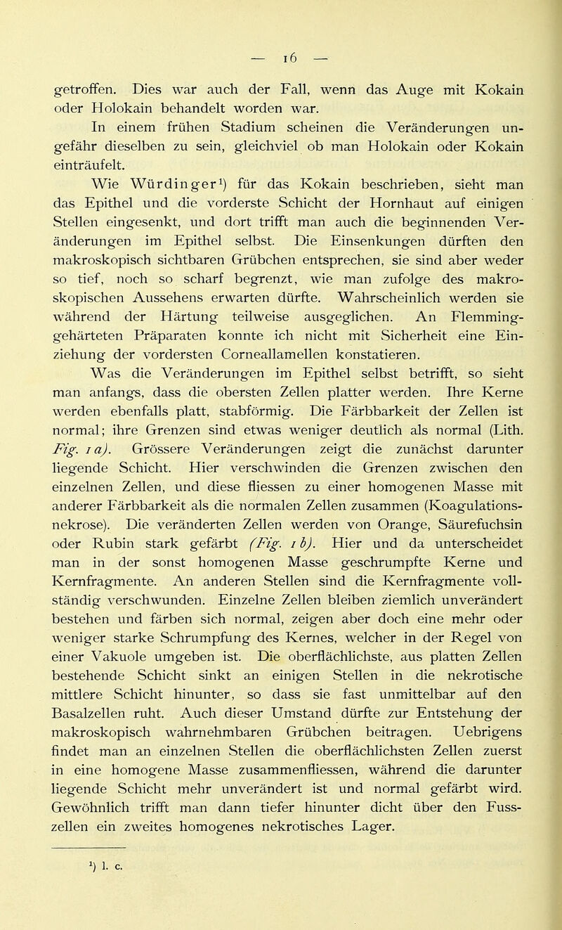 getroffen. Dies war auch der Fall, wenn das Auge mit Kokain oder Holokain behandelt worden war. In einem frühen Stadium scheinen die Veränderungen un- gefähr dieselben zu sein, gleichviel ob man Holokain oder Kokain einträufelt. Wie Würdinger^) für das Kokain beschrieben, sieht man das Epithel und die vorderste Schicht der Hornhaut auf einigen Stellen eingesenkt, und dort trifft man auch die beginnenden Ver- änderungen im Epithel selbst. Die Einsenkungen dürften den makroskopisch sichtbaren Grübchen entsprechen, sie sind aber weder so tief, noch so scharf begrenzt, wie man zufolge des makro- skopischen Aussehens erwarten dürfte. Wahrscheinlich werden sie während der Härtung teilweise ausgeglichen. An Flemming- gehärteten Präparaten konnte ich nicht mit Sicherheit eine Ein- ziehung der vordersten Corneallamellen konstatieren. Was die Veränderungen im Epithel selbst betrifft, so sieht man anfangs, dass die obersten Zellen platter werden. Ihre Kerne werden ebenfalls platt, stabförmig. Die Färbbarkeit der Zellen ist normal; ihre Grenzen sind etwas weniger deutlich als normal (Lith. Fig. la). Grössere Veränderungen zeigt die zunächst darunter liegende Schicht. Hier verschwinden die Grenzen zwischen den einzelnen Zellen, und diese fliessen zu einer homogenen Masse mit anderer Färbbarkeit als die normalen Zellen zusammen (Koagulations- nekrose). Die veränderten Zellen werden von Orange, Säurefuchsin oder Rubin stark gefärbt (Fig. i b). Hier und da unterscheidet man in der sonst homogenen Masse geschrumpfte Kerne und Kernfragmente. An anderen Stellen sind die Kernfragmente voll- ständig verschwunden. Einzelne Zellen bleiben ziemlich unverändert bestehen und färben sich normal, zeigen aber doch eine mehr oder weniger starke Schrumpfung des Kernes, welcher in der Regel von einer Vakuole umgeben ist. Die oberflächlichste, aus platten Zellen bestehende Schicht sinkt an einigen Stellen in die nekrotische mittlere Schicht hinunter, so dass sie fast unmittelbar auf den Basalzellen ruht. Auch dieser Umstand dürfte zur Entstehung der makroskopisch wahrnehmbaren Grübchen beitragen. Uebrigens findet man an einzelnen Stellen die oberflächlichsten Zellen zuerst in eine homogene Masse zusammenfliessen, während die darunter liegende Schicht mehr unverändert ist und normal gefärbt wird. Gewöhnlich trifft man dann tiefer hinunter dicht über den Fuss- zellen ein zweites homogenes nekrotisches Lager.