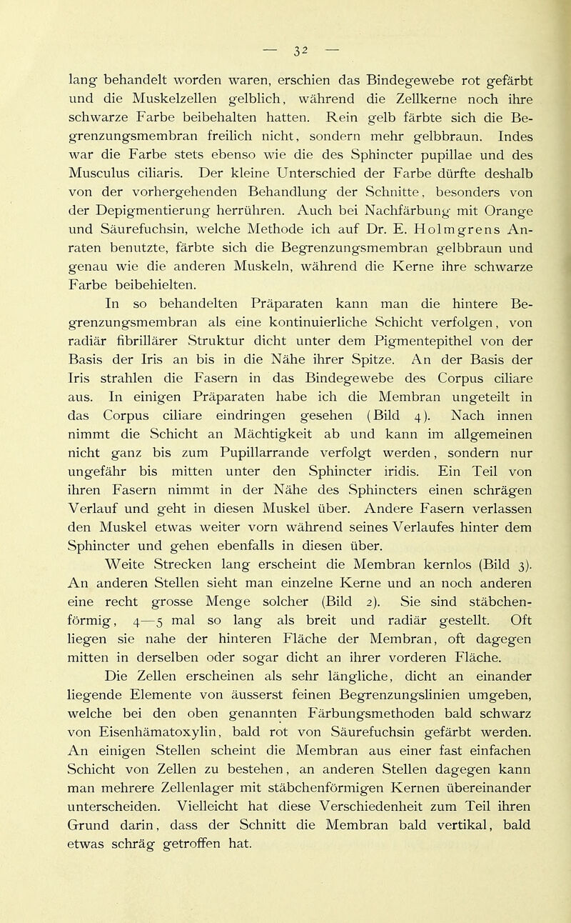 lang behandelt worden waren, erschien das Bindegewebe rot gefärbt und die Muskelzellen gelblich, während die Zellkerne noch ihre schwarze Farbe beibehalten hatten. Rein gelb färbte sich die Be- grenzungsmembran freilich nicht, sondern mehr gelbbraun. Indes war die Farbe stets ebenso wie die des Sphincter pupillae und des Musculus ciliaris. Der kleine Unterschied der Farbe dürfte deshalb von der vorhergehenden Behandlung der Schnitte, besonders von der Depigmentierung herrühren. Auch bei Nachfärbung mit Orange und Säurefuchsin, welche Methode ich auf Dr. E. Holmgrens An- raten benutzte, färbte sich die Begrenzungsmembran gelbbraun und genau wie die anderen Muskeln, während die Kerne ihre schwarze Farbe beibehielten. In so behandelten Präparaten kann man die hintere Be- grenzungsmembran als eine kontinuierliche Schicht verfolgen, von radiär fibrillärer Struktur dicht unter dem Pigment epithel von der Basis der Iris an bis in die Nähe ihrer Spitze. An der Basis der Iris strahlen die Fasern in das Bindegewebe des Corpus ciliare aus. In einigen Präparaten habe ich die Membran ungeteilt in das Corpus ciliare eindringen gesehen (Bild 4). Nach innen nimmt die Schicht an Mächtigkeit ab und kann im allgemeinen nicht ganz bis zum Pupillarrande verfolgt werden, sondern nur ungefähr bis mitten unter den Sphincter iridis. Ein Teil von ihren Fasern nimmt in der Nähe des Sphincters einen schrägen Verlauf und geht in diesen Muskel über. Andere Fasern verlassen den Muskel etwas weiter vorn während seines Verlaufes hinter dem Sphincter und gehen ebenfalls in diesen über. Weite Strecken lang erscheint die Membran kernlos (Bild 3). An anderen Stellen sieht man einzelne Kerne und an noch anderen eine recht grosse Menge solcher (Bild 2). Sie sind stäbchen- förmig, 4—5 mal so lang als breit und radiär gestellt. Oft liegen sie nahe der hinteren Fläche der Membran, oft dagegen mitten in derselben oder sogar dicht an ihrer vorderen Fläche. Die Zellen erscheinen als sehr längliche, dicht an einander liegende Elemente von äusserst feinen Begrenzungslinien umgeben, welche bei den oben genannten Färbungsmethoden bald schwarz von Eisenhämatoxylin, bald rot von Säurefuchsin gefärbt werden. An einigen Stellen scheint die Membran aus einer fast einfachen Schicht von Zellen zu bestehen, an anderen Stellen dagegen kann man mehrere Zellenlager mit stäbchenförmigen Kernen übereinander unterscheiden. Vielleicht hat diese Verschiedenheit zum Teil ihren Grund darin, dass der Schnitt die Membran bald vertikal, bald etwas schräg getroffen hat.