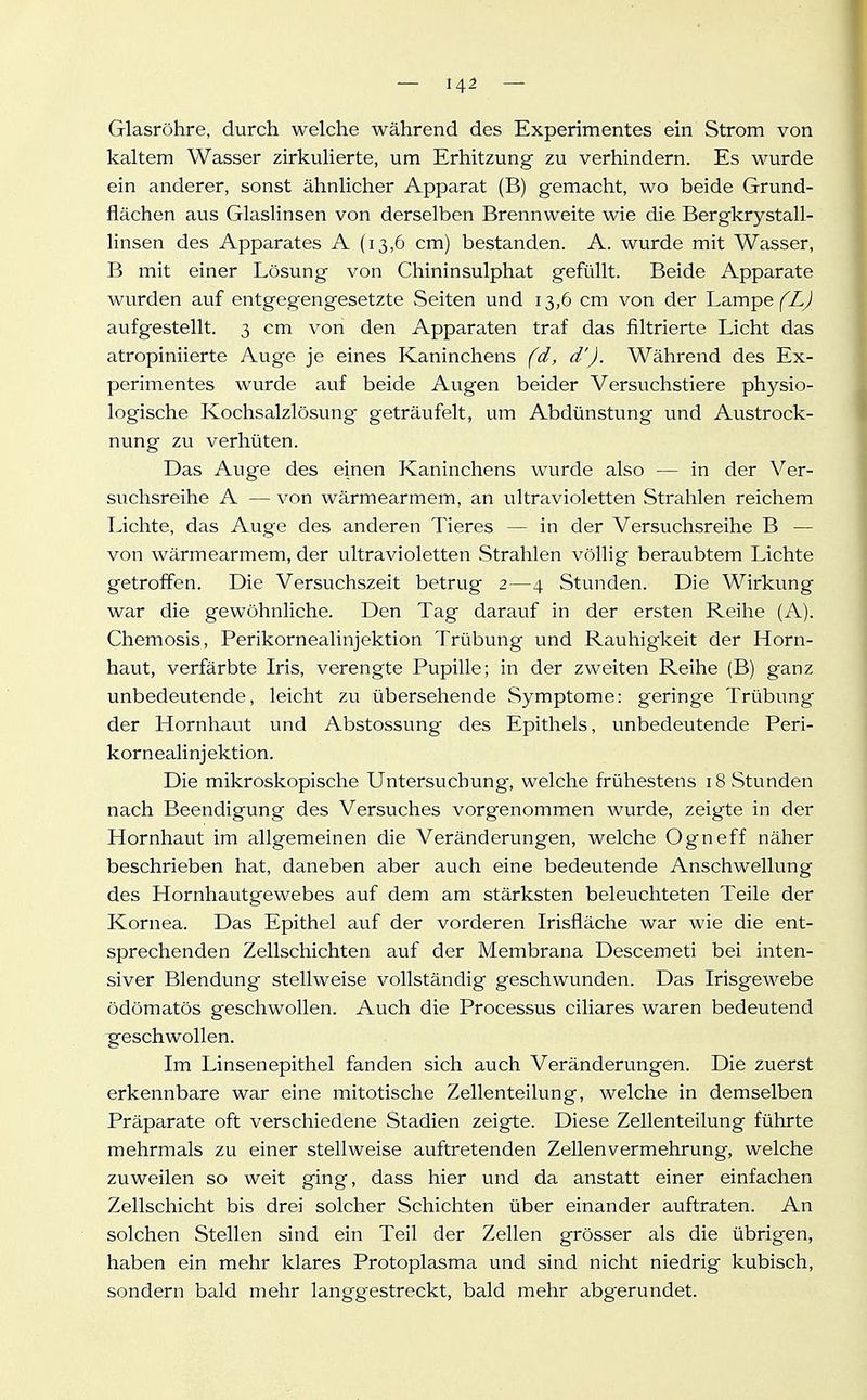 Glasröhre, durch welche während des Experimentes ein Strom von kaltem Wasser zirkulierte, um Erhitzung zu verhindern. Es wurde ein anderer, sonst ähnlicher Apparat (B) gemacht, wo beide Grund- flächen aus Glaslinsen von derselben Brennweite wie die Bergkrystall- linsen des Apparates A (13,6 cm) bestanden. A. wurde mit Wasser, B mit einer Lösung von Chininsulphat gefüllt. Beide Apparate wurden auf entgegengesetzte Seiten und 13,6 cm von der Iyd.mpe fLJ aufgestellt. 3 cm von den Apparaten traf das filtrierte Licht das atropiniierte Auge je eines Kaninchens fd, d'J. Während des Ex- perimentes wurde auf beide Augen beider Versuchstiere physio- logische Kochsalzlösung geträufelt, um Abdünstung und Austrock- nung zu verhüten. Das Auge des einen Kaninchens wurde also — in der Ver- suchsreihe A — von wärmearraem, an ultravioletten Strahlen reichem Lichte, das Auge des anderen Tieres — in der Versuchsreihe B — von wärmearmem, der ultravioletten Strahlen völlig beraubtem Lichte getroffen. Die Versuchszeit betrug 2—4 Stunden. Die Wirkung war die gewöhnliche. Den Tag darauf in der ersten Reihe (A). Chemosis, Perikornealinjektion Trübung und Rauhigkeit der Horn- haut, verfärbte Iris, verengte Pupille; in der zweiten Reihe (B) ganz unbedeutende, leicht zu übersehende Symptome: geringe Trübung der Hornhaut und Abstossung des Epithels, unbedeutende Peri- kornealinjektion. Die mikroskopische Untersuchung-, welche frühestens 18 Stunden nach Beendigung des Versuches vorgenommen wurde, zeigte in der Hornhaut im allgemeinen die Veränderungen, welche Ogneff näher beschrieben hat, daneben aber auch eine bedeutende Anschwellung des Hornhautgewebes auf dem am stärksten beleuchteten Teile der Kornea. Das Epithel auf der vorderen Irisfiäche war wie die ent- sprechenden Zellschichten auf der Membrana Descemeti bei inten- siver Blendung stellweise vollständig geschwunden. Das Irisgewebe ödömatös geschwollen. Auch die Processus ciliares waren bedeutend geschwollen. Im Linsenepithel fanden sich auch Veränderungen. Die zuerst erkennbare war eine mitotische Zellenteilung, welche in demselben Präparate oft verschiedene Stadien zeigte. Diese Zellenteilung führte mehrmals zu einer stellweise auftretenden Zellenvermehrung, welche zuweilen so weit ging, dass hier und da anstatt einer einfachen Zellschicht bis drei solcher Schichten über einander auftraten. An solchen Stellen sind ein Teil der Zellen grösser als die übrigen, haben ein mehr klares Protoplasma und sind nicht niedrig kubisch, sondern bald mehr langgestreckt, bald mehr abgerundet.