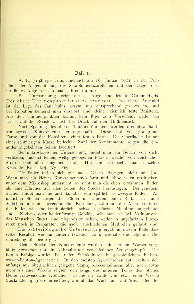 Fall I. A. P., 71jährige Frau, fand sich am 16. Januar 1(701 in der Poli- klinik der Augenabteiiung des Seraphimerlazaretts ein mit der Klage, dass ihr linkes Auge seit ein paar Jahren thränte. Bei Untersuchung zeigt dieses Auge eine leichte Conjuncti\;itis. Der obere Thränenpunkt ist stark erweitert. Das obere Augenlid ist der Lage des Canaliculus lacrym. sup. entsprechend geschwollen, und bei Palpation bemerkt man daselbst eine kleine, ziemlich feste Resistenz. Aus den Thränenpunkten kommt kein Eiter zum Vorschein, weder bei Druck auf die Resistenz noch bei Druck auf den Thränensack. Nach Spaltung des oberen Thränenröhrchens werden drei etwa hanf- samengrosse Konkremente herausgeschafft. Diese sind von graugrüner Farbe und \'on der Konsistenz einer festen Paste. Die Oberfläche ist mit einer schmierigen Masse bedeckt. Zwei der Konkremente zeigen die ein- antier zugekehrten Seiten facettiert. Bei mikroskopischer Untersuchung findet man ein Gewirr von dicht verfilzten, äusserst feinen, wellig gebogenen Fäden, welche von reichlichen Mikrococcenhaufen umgeben sind. Hie und da sieht man einzelne Krystalle (Kalksalze). (Vgl. Fig. i.) Die Fäden färben sich gut nach Gram, dagegen nicht mit Jod. Wenn man ein kleines Konkrementstück färbt und, ohne es zu zerdrücken, unter dem Mikroskop untersucht, so sieht man die eben erwähnten Fäden als feine Härchen auf allen Seiten des Stücks herausragen. Bei genauem Suchen findet man hie und da, aber sehr spärlich, \-erzweigte Fäden. An manchen Stellen zeigen die Fäden im Inneren einen Zerfall in kurze Stäbchen oder in coccenähnliche Körnchen, während die Aussenkonturen der Fäden wie eine kontinuierliche, schwach gefärbte Membran angedeutet sind. Kolben- oder keulenfönnige Gebilde, wie man sie bei Aktinomyces des Menschen findet, sind nirgends zu sehen, weder in ungefärbten Präpa- raten noch in Präparaten, die nach verschiedenen Methoden gefärbt sind. Die bakteriologische Untersuchung ergab in diesem Falle das- selbe Resultat wie im andern (zweiten Fall), weshalb die folgende Be- schreibung für beide gilt. Kleine Stücke der Konkremente wurden mit sterilem Wasser sorg- fältig gewaschen und in Nährsubstrate \'erschiedener Art eingeimpft. Die besten Erfolge wurden bei tiefen Stichkulturen in gewöhnlichem Fleisch- wasser-Peptcm-Agar erzielt. In den meisten Agarröhrchen entwickelten sich anfangs nur oberflächlich gelegene Staphylococcenkulturen, aber nach etwas mehr als einer Woche zeigten sich längs des unteren Teiles des Stiches kleine grauweissliche Knötchen, welche im Laufe von etwa einer Woche Stecknadelkopfgrösse erreichten, worauf das Wachstum aufhörte. Bei der