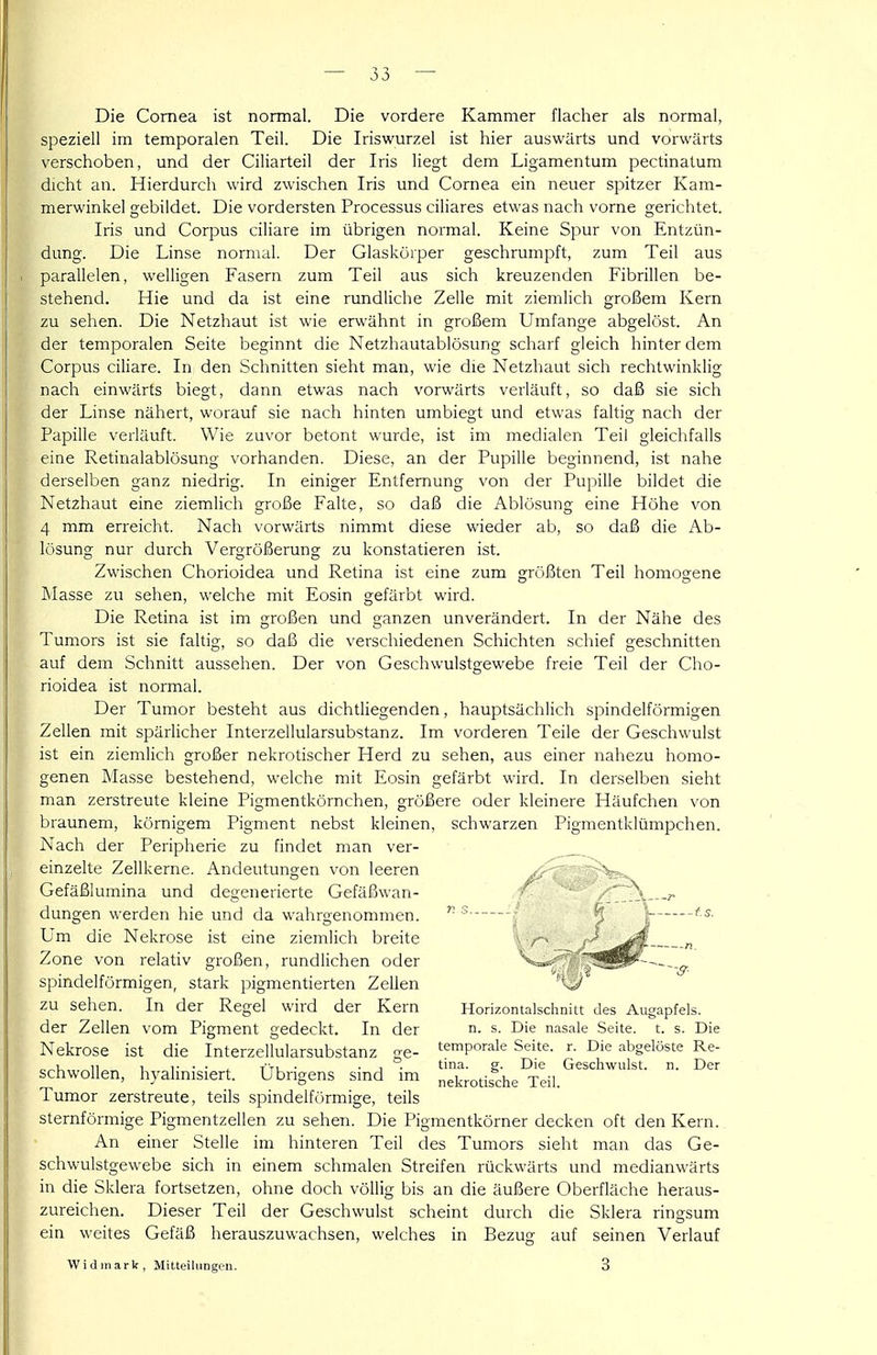 Die Cornea ist normal. Die vordere Kammer flacher als normal, speziell im temporalen Teil. Die Iriswurzel ist hier auswärts und vorwärts verschoben, und der Ciliarteil der Iris liegt dem Ligamentum pectinatum dicht an. Hierdurch wird zwischen Iris und Cornea ein neuer spitzer Kam- merwinkel gebildet. Die vordersten Processus ciliares etwas nach vorne gerichtet. Iris und Corpus ciliare im übrigen normal. Keine Spur von Entzün- dung. Die Linse normal. Der Glaskörper geschrumpft, zum Teil aus parallelen, welligen Fasern zum Teil aus sich kreuzenden Fibrillen be- stehend. Hie und da ist eine rundliche Zelle mit ziemlich großem Kern zu sehen. Die Netzhaut ist wie erwähnt in großem Umfange abgelöst. An der temporalen Seite beginnt die Netzhautablösung scharf gleich hinter dem Corpus ciliare. In den Schnitten sieht man, wie die Netzhaut sich rechtwinklig nach einwärts biegt, dann etwas nach vorwärts verläuft, so daß sie sich der Linse nähert, worauf sie nach hinten umbiegt und etwas faltig nach der Papille verläuft. Wie zuvor betont wurde, ist im medialen Teil gleichfalls eine Retinalablösung vorhanden. Diese, an der Pupille beginnend, ist nahe derselben ganz niedrig. In einiger Entfernung von der Pupille bildet die Netzhaut eine ziemlich große Falte, so daß die Ablösung eine Höhe von 4 mm erreicht. Nach vorwärts nimmt diese wieder ab, so daß die Ab- lösung nur durch Vergrößerung zu konstatieren ist. Zwischen Chorioidea und Retina ist eine zum größten Teil homogene Masse zu sehen, welche mit Eosin gefärbt wird. Die Retina ist im großen und ganzen unverändert. In der Nähe des Tumors ist sie faltig, so daß die verschiedenen Schichten schief geschnitten auf dem Schnitt aussehen. Der von Geschwulstgewebe freie Teil der Cho- rioidea ist normal. Der Tumor besteht aus dichtliegenden, hauptsächlich spindelförmigen Zellen mit spärlicher Interzellularsubstanz. Im vorderen Teile der Geschwulst ist ein ziemlich großer nekrotischer Herd zu sehen, aus einer nahezu homo- genen Masse bestehend, welche mit Eosin gefärbt wird. In derselben sieht man zerstreute kleine Pigmentkörnchen, größere oder kleinere Häufchen von braunem, körnigem Pigment nebst kleinen, schwarzen Pigmentklümpchen. Nach der Peripherie zu findet man ver- einzelte Zellkerne. Andeutungen von leeren /^-^^■^•■■^>^, Gefäßlumina und degenerierte Gefäßwan- ' düngen werden hie und da wahrgenommen. ® Um die Nekrose ist eine ziemlich breite . v'^ (^ ^^^9- n Zone von relativ großen, rundlichen oder Vs*«^; ^^^---^.g. spindelförmigen, stark pigmentierten Zellen zu sehen. In der Regel wird der Kern Horizontalschnitt des Augapfels, der Zellen vom Pigment gedeckt. In der n. s. Die nasale Seite, t. s. Die Nekrose ist die Interzellularsubstanz ge- temporale Seite, r. Die abgelöste Re- , r • • . TTu ■ ■ 1 • tina. g. Die Geschwulst, n. Der schwollen, hyalmisiert. Übrigens sind im nekrotische Teil. Tumor zerstreute, teils spindelfi.irmige, teils sternförmige Pigmentzellen zu sehen. Die Pigmentkörner decken oft den Kern. An einer Stelle im hinteren Teil des Tumors sieht man das Ge- schwulstgewebe sich in einem schmalen Streifen rückwärts und medianwärts in die Sklera fortsetzen, ohne doch völlig bis an die äußere Oberfläche heraus- zureichen. Dieser Teil der Geschwulst scheint durch die Sklera ringsum ein weites Gefäß herauszuwachsen, welches in Bezug auf seinen Verlauf Widinarlf, Mitteilungen. 3