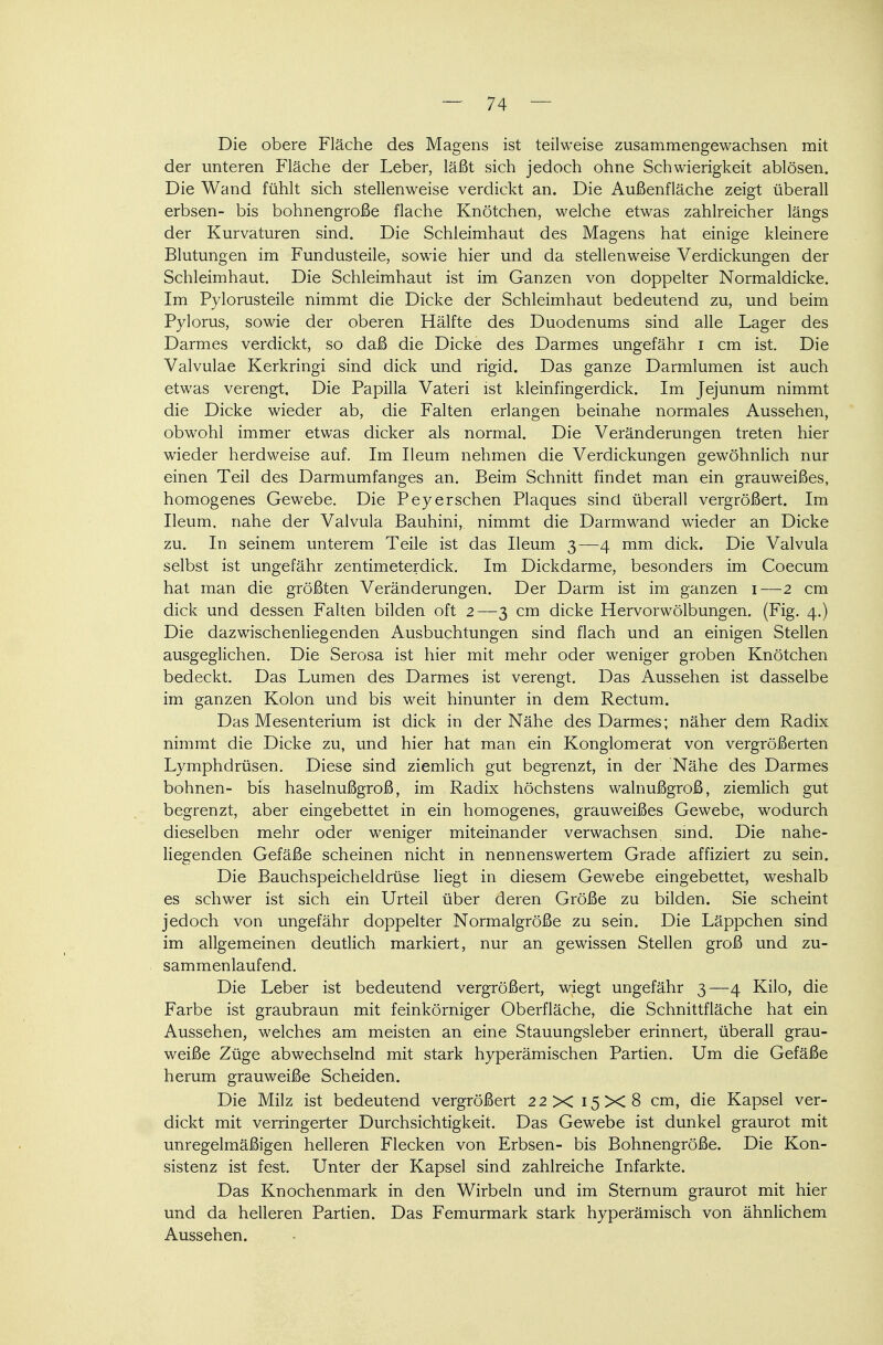 Die obere Fläche des Magens ist teilweise zusammengewachsen mit der unteren Fläche der Leber, läßt sich jedoch ohne Schwierigkeit ablösen. Die Wand fühlt sich stellenweise verdickt an. Die Außenfläche zeigt überall erbsen- bis bohnengroße flache Knötchen, welche etwas zahlreicher längs der Kurvaturen sind. Die Schleimhaut des Magens hat einige kleinere Blutungen im Fundusteile, sowie hier und da stellenweise Verdickungen der Schleimhaut. Die Schleimhaut ist im Ganzen von doppelter Normaldicke. Im Pylorusteile nimmt die Dicke der Schleimhaut bedeutend zu, und beim Pylorus, sowie der oberen Hälfte des Duodenums sind alle Lager des Darmes verdickt, so daß die Dicke des Darmes ungefähr i cm ist. Die Valvulae Kerkringi sind dick und rigid. Das ganze Darmlumen ist auch etwas verengt. Die Papilla Vateri ist kleinfingerdick. Im Jejunum nimmt die Dicke wieder ab, die Falten erlangen beinahe normales Aussehen, obwohl immer etwas dicker als normal. Die Veränderungen treten hier wieder herdweise auf. Im Ileum nehmen die Verdickungen gewöhnlich nur einen Teil des Darmumfanges an. Beim Schnitt findet man ein grauweißes, homogenes Gewebe. Die Peyerschen Plaques sind überall vergrößert. Im Ileum. nahe der Valvula Bauhini, nimmt die Darmwand wieder an Dicke zu. In seinem unterem Teile ist das Ileum 3—4 mm dick. Die Valvula selbst ist ungefähr zentimeterdick. Im Dickdarme, besonders im Coecum hat man die größten Veränderungen. Der Darm ist im ganzen 1—2 cm dick und dessen Falten bilden oft 2—3 cm dicke Hervorwölbungen. (Fig. 4.) Die dazwischenliegenden Ausbuchtungen sind flach und an einigen Stellen ausgeglichen. Die Serosa ist hier mit mehr oder weniger groben Knötchen bedeckt. Das Lumen des Darmes ist verengt. Das Aussehen ist dasselbe im ganzen Kolon und bis weit hinunter in dem Rectum. Das Mesenterium ist dick in der Nähe des Darmes; näher dem Radix nimmt die Dicke zu, und hier hat man ein Konglomerat von vergrößerten Lymphdrüsen. Diese sind ziemlich gut begrenzt, in der Nähe des Darmes bohnen- bis haselnußgroß, im Radix höchstens walnußgroß, ziemlich gut begrenzt, aber eingebettet in ein homogenes, grauweißes Gewebe, wodurch dieselben mehr oder weniger miteinander verwachsen sind. Die nahe- liegenden Gefäße scheinen nicht in nennenswertem Grade affiziert zu sein. Die Bauchspeicheldrüse liegt in diesem Gewebe eingebettet, weshalb es schwer ist sich ein Urteil über deren Größe zu bilden. Sie scheint jedoch von ungefähr doppelter Normalgröße zu sein. Die Läppchen sind im allgemeinen deutlich markiert, nur an gewissen Stellen groß und zu- sammenlaufend. Die Leber ist bedeutend vergrößert, wiegt ungefähr 3—4 Kilo, die Farbe ist graubraun mit feinkörniger Oberfläche, die Schnittfläche hat ein Aussehen, welches am meisten an eine Stauungsleber erinnert, überall grau- weiße Züge abwechselnd mit stark hyperämischen Partien. Um die Gefäße herum grauweiße Scheiden. Die Milz ist bedeutend vergrößert 22 X 15x18 cm, die Kapsel ver- dickt mit verringerter Durchsichtigkeit. Das Gewebe ist dunkel graurot mit unregelmäßigen helleren Flecken von Erbsen- bis Bohnengröße. Die Kon- sistenz ist fest. Unter der Kapsel sind zahlreiche Infarkte. Das Knochenmark in den Wirbeln und im Sternum graurot mit hier und da helleren Partien. Das Femurmark stark hyperämisch von ähnlichem Aussehen.