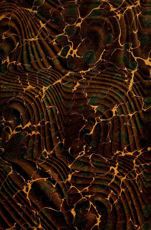 No text description is available for this image