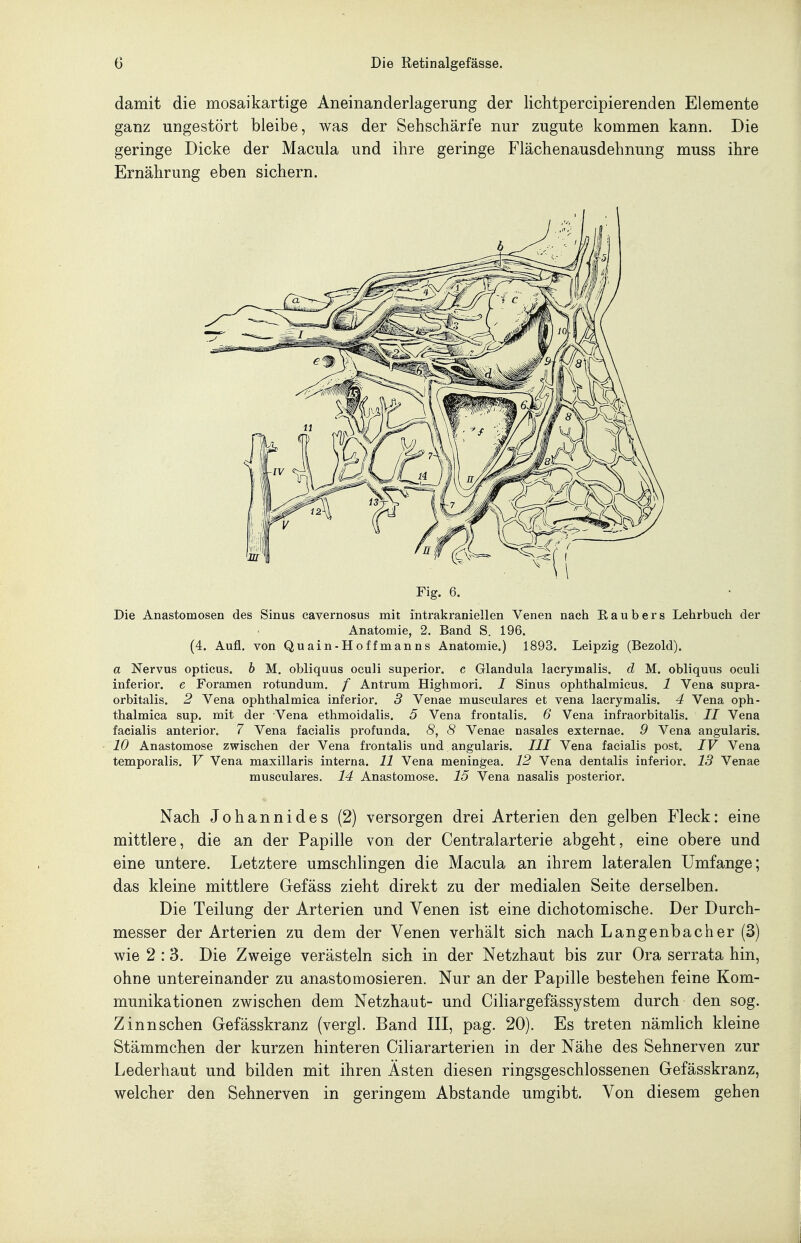 damit die mosaikartige Aneinanderlagerung der lichtpercipierenden Elemente ganz ungestört bleibe, was der Sehschärfe nur zugute kommen kann. Die geringe Dicke der Macula und ihre geringe Flächenausdehnung muss ihre Ernährung eben sichern. Fig. 6. Die Anastomosen des Sinus cavernosus mit intrakraniellen Venen nach E, a u b e r s Lehrbuch der Anatomie, 2. Band S. 196. (4. Aufl. von Quain-Hoffmanns Anatomie.) 1893. Leipzig (Bezold). a Nervus opticus, h M. obliquus oculi superior. c Glandula lacrymalis. d M. obliquus oculi inferior, e Foramen rotundum. / Antrum Highmori. / Sinus ophthalmicus. 1 Vena supra- orbitalis. 2 Vena ophthalmica inferior. 3 Venae musculares et vena lacrymalis. 4 Vena oph- thalmiea sup. mit der Vena ethmoidalis, 5 Vena frontalis. 6 Vena infraorbitalis. II Vena facialis anterior. 7 Vena facialis profunda. 8, 8 Venae nasales externae. 9 Vena angularis. 10 Anastomose zwischen der Vena frontalis und angularis. III Vena facialis post. IV Vena temporalis. V Vena maxillaris interna. 11 Vena meningea. 12 Vena dentalis inferior. 13 Venae musculares. 14 Anastomose. 15 Vena nasalis posterior. Nach Johannides (2) versorgen drei Arterien den gelben Fleck: eine mittlere, die an der Papille von der Centraiarterie abgeht, eine obere und eine untere. Letztere umschlingen die Macula an ihrem lateralen Umfange; das kleine mittlere Gefäss zieht direkt zu der medialen Seite derselben. Die Teilung der Arterien und Venen ist eine dichotomische. Der Durch- messer der Arterien zu dem der Venen verhält sich nach Langenbacher (3) wie 2:3. Die Zweige verästeln sich in der Netzhaut bis zur Ora serrata hin, ohne untereinander zu anastomosieren. Nur an der Papille bestehen feine Kom- munikationen zwischen dem Netzhaut- und Ciliargefässystem durch den sog. Zinnschen Gefässkranz (vergl. Band III, pag. 20). Es treten nämlich kleine Stämmchen der kurzen hinteren Ciliararterien in der Nähe des Sehnerven zur Lederhaut und bilden mit ihren Ästen diesen ringsgeschlossenen Gefässkranz, welcher den Sehnerven in geringem Abstände umgibt. Von diesem gehen