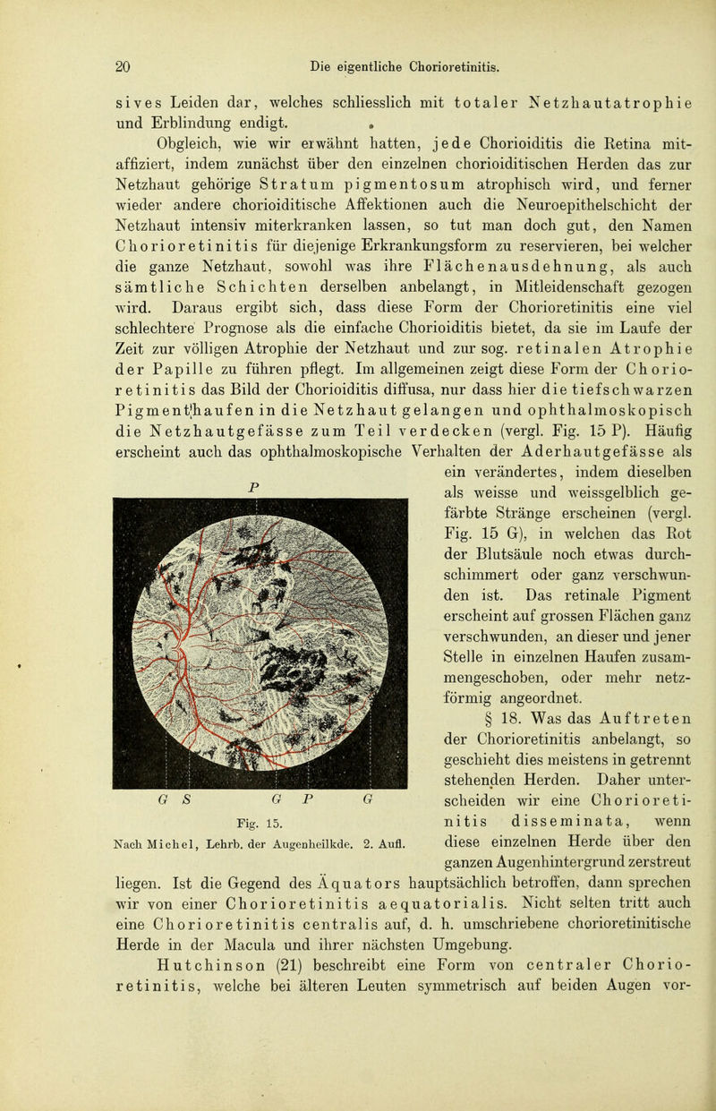 sives Leiden dar, welches schliesslich mit totaler Netzhautatrophie und Erblindung endigt. • Obgleich, wie wir erwähnt hatten, jede Chorioiditis die Retina mit- affiziert, indem zunächst über den einzelnen chorioiditischen Herden das zur Netzhaut gehörige Stratum pigmentosum atrophisch wird, und ferner wieder andere chorioiditische Affektionen auch die Neuroepithelschicht der Netzhaut intensiv miterkranken lassen, so tut man doch gut, den Namen Chorioretinitis für diejenige Erkrankungsform zu reservieren, bei welcher die ganze Netzhaut, sowohl was ihre Flächenausdehnung, als auch sämtliche Schichten derselben anbelangt, in Mitleidenschaft gezogen wird. Daraus ergibt sich, dass diese Form der Chorioretinitis eine viel schlechtere Prognose als die einfache Chorioiditis bietet, da sie im Laufe der Zeit zur völligen Atrophie der Netzhaut und zur sog. retinalen Atrophie der Papille zu führen pflegt. Im allgemeinen zeigt diese Form der Chorio- retinitis das Bild der Chorioiditis diffusa, nur dass hier die tiefschwarzen Pigmentjhaufen in die Netzhaut gelangen und ophthalmoskopisch die Netzhautgefässe zum Teil verdecken (vergl. Fig. 15 P). Häufig erscheint auch das ophthalmoskopische Verhalten der Aderhautgefässe als ein verändertes, indem dieselben als weisse und weissgelblich ge- färbte Stränge erscheinen (vergl. Fig. 15 G), in welchen das Rot der Blutsäule noch etwas durch- schimmert oder ganz verschwun- den ist. Das retinale Pigment erscheint auf grossen Flächen ganz verschwunden, an dieser und jener Stelle in einzelnen Haufen zusam- mengeschoben, oder mehr netz- förmig angeordnet. § 18. Was das Auftreten der Chorioretinitis anbelangt, so geschieht dies meistens in getrennt stehenden Herden. Daher unter- scheiden wir eine Chorioreti- nitis disseminata, wenn diese einzelnen Herde über den ganzen Augenhintergrund zerstreut liegen. Ist die Gegend des Äquators hauptsächlich betroffen, dann sprechen wir von einer Chorioretinitis aequatorialis. Nicht selten tritt auch eine Chorioretinitis centralis auf, d. h. umschriebene chorioretinitische Herde in der Macula und ihrer nächsten Umgebung. Hutchinson (21) beschreibt eine Form von centraler Chorio- retinitis, welche bei älteren Leuten symmetrisch auf beiden Augen vor- G S Fig. 15. Nach Michel, Lehrb. der Augenheilkde. 2. Aufl