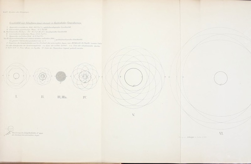 / •.•/// S i sfem der Skiaskopie Gest t/t/s/t /d und ßelciidditngtdamd idndistA) iti fiin/zigfacher Vergrößerung. I Myopisches umgekehrtes ßild tS6, 7'u/i I j ; ophthalntoskopiscltes Gesirhtsfehl. II /ntcj-niediärc gct/erdäu/ige PAa.se, 7, 'PoPJl). III, U\a fwdop/ischesStndwm (§8 10, Taf. II]'u.lV)\ skinshopisches Gesiddsfeld. I\' Intermediäre mcüdu/tge Phase, (M //, 7'uPVJ. V Myopisches au/rcrfiics Bild (§/2,'faf.Vl). VInMI Bnperrnetropisdies und enonetropisdies uufi'eddes ßitil',\ , , . , . , , . , ., ,, , ,. > . . ' \ opldludmoskopisdies (jesichtsleld.. bei gleuher l nieivuihuiu/silis/unz ivie in V I S' Pi'o/i'Ation desSpicgrltochhiUles rui/'dir■J'elxhaut des un/ersudden Alloes, vom Atitielponpl derPupille (s.unten linlcsj (frt r/tlerA/illet/iu/dde der Zei'stremuyslcrdst no Zone der vollen Apertur, va Zon&eler abnehmenden Apertur S'Japm audi in Mn-J-Jlloör, in Fig.Ilta,^ VI hinter der Papierehene liegend gedacht n/erden ^kv, Wandenuuj des Spia/eUothhildes S'gegen Velzhaut des onteisoihten Auges.