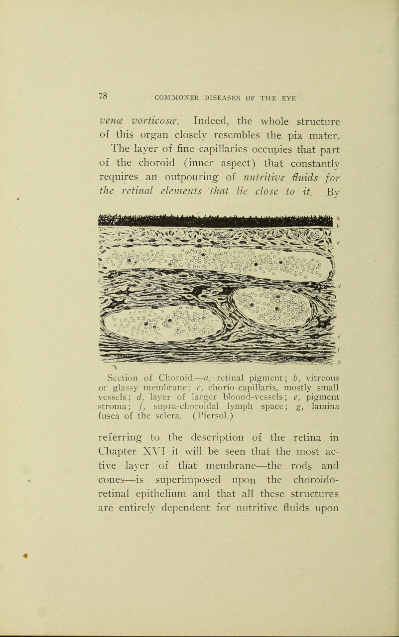 vence vorticosce. Indeed, the whole structure of this organ closely resembles the pia mater. The layer of fine capillaries occupies that part of the choroid (inner aspect) that constantly requires an outpouring of nutritive fluids for the retinal elements that lie close to it. By Section of Choroid.—a, retinal pigment; b, vitreous or glassy membrane; c, chorio-capillaris, mostly small vessels; d, layer of larger bloood-vessels; e, pigment stroma; f, supra-choroidal lymph space; g, lamina fusca of the sclera. (Piersol.) referring to the description of the retina in Chapter XVI it will be seen that the most ac- tive layer of that membrane—the rods and cones—is superimposed upon the choroido- retinal epithelium and that all these structures are entirely dependent for nutritive fluids upon