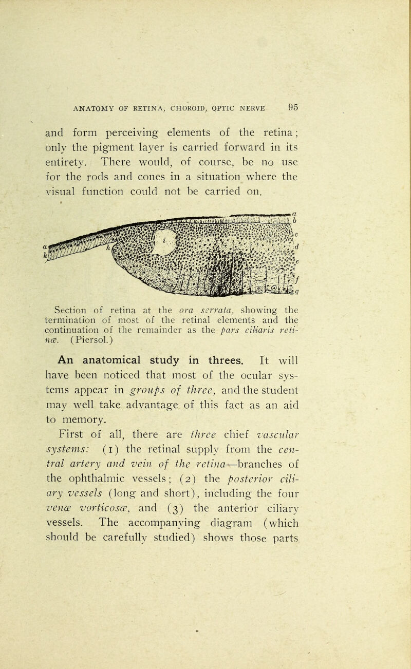 and form perceiving elements of the retina; only the pigment layer is carried forward in its entirety. There would, of course, be no use for the rods and cones in a situation where the visual function could not be carried on. Section of retina at the ova serrata, showing the termination of most of the retinal elements and the continuation of the remainder as the pars cikaris reti- na. (Piersol.) An anatomical study in threes. It will have been noticed that most of the ocular sys- tems appear in groups of three, and the student may well take advantage of this fact as an aid to memory. First of all, there are three chief vascular systems: (i) the retinal supply from the cen- tral artery and vein of the retina—branches of the ophthalmic vessels; (2) the posterior cili- ary vessels (long and short), including the four vena vorticosce, and (3) the anterior ciliary vessels. The accompanying diagram (which should be carefully studied) shows those parts