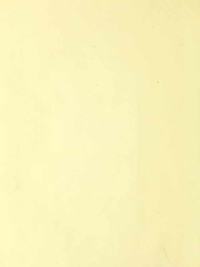 digitised image 2