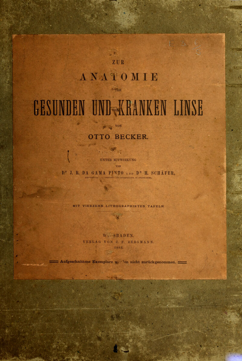 ANATOMIE f>KR DEN IMM1EI ff % VON OTTO BECKER. \ ■ UNTER MITWIRKUNG VON D* J. R. DA GAMA PINTO und D? H. SCHÄFER, ASSTSTRNTRN M.K UNIVEI&II'ATS-AUGENKLINIK IN HEIOELBERG. MIT VIERZEHN LITHOGRAPHIRTEN TAFELN. W< SB ADEN. VERLAG VON J, F. BERGMANN. 'f% 1883.: w^mM^i Aufgeschnittene Exemplare jjgprlen nicht zurückgenommen.