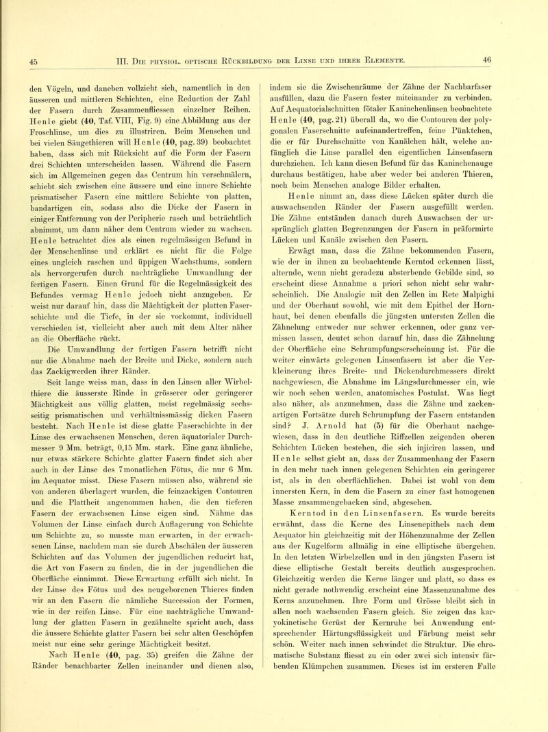 den Yögeln, und daneben vollzieht sich, namentlich in den äusseren und mittleren Schichten, eine Reduction der Zahl der Fasern durch Zusammenfliessen einzelner Reihen. Henle giebt (40, Taf. VIII, Fig. 9) eine Abbildung aus der Froschlinse, um dies zu illustriren. Beim Menschen und bei vielen Säugethieren will Henle (40, pag. 39) beobachtet haben, dass sich mit Rücksicht auf die Form der Fasern drei Schichten unterscheiden lassen. Während die Fasern sich im Allgemeinen gegen das Centrum hin verschmälern, schiebt sich zwischen eine äussere und eine innere Schichte prismatischer Fasern eine mittlere Schichte von platten, bandartigen ein, sodass also die Dicke der Fasern in einiger Entfernung von der Peripherie rasch und beträchtlich abnimmt, um dann näher dem Centrum wieder zu wachsen. Henle betrachtet dies als einen regelmässigen Befund in der Menschenlinse und erklärt es nicht für die Folge eines ungleich raschen und üppigen Wachsthums, sondern als hervorgerufen durch nachträgliche Umwandlung der fertigen Fasern. Einen Grund für die Regelnlässigkeit des Befundes vermag Henle jedoch nicht anzugeben. Er weist nur darauf hin, dass die Mächtigkeit der platten Faser- schichte und die Tiefe, in der sie vorkommt, individuell verschieden ist, vielleicht aber auch mit dem Alter näher an die Oberfläche rückt. Die Umwandlung der fertigen Fasern betrifft nicht nur die Abnahme nach der Breite und Dicke, sondern auch das Zackigwerden ihrer Ränder. Seit lange weiss man, dass in den Linsen aller Wirbel- thiere die äusserste Rinde in grösserer oder geringerer Mächtigkeit aus völlig glatten, meist regelmässig sechs- seitig prismatischen und verhältnissmässig dicken Fasern besteht. Nach Henle ist diese glatte Faserschichte in der Linse des erwachsenen Menschen, deren äquatorialer Durch- messer 9 Mm. beträgt, 0,15 Mm. stark. Eine ganz ähnliche, nur etwas stärkere Schichte glatter Fasern findet sich aber auch in der Linse des 7 monatlichen Fötus, die nur 6 Mm. im Aequator misst. Diese Fasern müssen also, während sie von anderen überlagert wurden, die feinzackigen Contouren und die Plattheit angenommen haben, die den tieferen Fasern der erwachsenen Linse eigen sind. Nähme das Yolumen der Linse einfach durch Auflagerung von Schichte um Schichte zu, so musste man erwarten, in der erwach- senen Linse, nachdem man sie durch Abschälen der äusseren Schichten auf das Yolumen der jugendlichen reducirt hat, die Art von Fasern zu finden, die in der jugendlichen die Oberfläche einnimmt. Diese Erwartung erfüllt sich nicht. In der Linse des Fötus und des neugeborenen Thieres finden wir an den Fasern die nämliche Succession der Formen, wie in der reifen Linse. Für eine nachträgliche Umwand- lung der glatten Fasern in gezähnelte spricht auch, dass die äussere Schichte glatter Fasern bei sehr alten Geschöpfen meist nur eine sehr geringe Mächtigkeit besitzt. Nach Henle (40, pag. 35) greifen die Zähne der Ränder benachbarter Zellen ineinander und dienen also, indem sie die Zwischenräume der Zähne der Nachbarfaser ausfüllen, dazu die Fasern fester miteinander zu verbinden. Auf Aequatorialschnitten fötaler Kaninchenlinsen beobachtete Henle (40, pag. 21) überall da, wo die Contouren der poly- gonalen Faserschnitte aufeinandertreffen, feine Pünktchen, die er für Durchschnitte von Kanälchen hält, welche an- fänglich die Linse parallel den eigentlichen Linsenfasern durchziehen. Ich kann diesen Befund für das Kaninchenauge durchaus bestätigen, habe aber weder bei anderen Thieren, noch beim Menschen analoge Bilder erhalten. Henle nimmt an, dass diese Lücken später durch die auswachsenden Ränder der Fasern ausgefüllt werden. Die Zähne entständen danach durch Auswachsen der ur- sprünglich glatten Begrenzungen der Fasern in präformirte Lücken und Kanäle zwischen den Fasern. Erwägt man, dass die Zähne bekommenden Fasern, wie der in ihnen zu beobachtende Kerntod erkennen lässt, alternde, wenn nicht geradezu absterbende Gebilde sind, so erscheint diese Annahme a priori schon nicht sehr wahr- scheinlich. Die Analogie mit den Zellen im Rete Malpighi und der Oberhaut sowohl, wie mit dem Epithel der Horn- haut, bei denen ebenfalls die jüngsten untersten Zellen die Zähnelung entweder nur schwer erkennen, oder ganz ver- missen lassen, deutet schon darauf hin, dass die Zähnelung der Oberfläche eine Schrumpfungserscheinung ist. Für die weiter einwärts gelegenen Linsenfasern ist aber die Ver- kleinerung ihres Breite- und Dickendurchmessers direkt nachgewiesen, die Abnahme im Längsdurchmesser ein, wie wir noch sehen werden, anatomisches Postulat. Was liegt also näher, als anzunehmen, dass die Zähne und zacken- artigen Fortsätze durch Schrumpfung der Fasern entstanden sind? J. Arnold hat (5) für die Oberhaut nachge- wiesen, dass in den deutliche Riffzellen zeigenden oberen Schichten Lücken bestehen, die sich injiciren lassen, und Henle selbst giebt an, dass der Zusammenhang der Fasern in den mehr nach innen gelegenen Schichten ein geringerer ist, als in den oberflächlichen. Dabei ist wohl von dem innersten Kern, in dem die Fasern zu einer fast homogenen Masse zusammengebacken sind, abgesehen. Kerntod in den Linsenfasern. Es wurde bereits erwähnt, dass die Kerne des Linsenepithels nach dem Aequator hin gleichzeitig mit der Höhenzunahme der Zellen aus der Kugelform allmälig in eine elliptische übergehen. In den letzten Wirbelzellen und in den jüngsten Fasern ist diese elliptische Gestalt bereits deutlich ausgesprochen. Gleichzeitig werden die Kerne länger und platt, so dass es nicht gerade nothwendig. erscheint eine Massenzunahme des Kerns anzunehmen. Ihre Form und Grösse bleibt sich in allen noch wachsenden Fasern gleich. Sie zeigen das kar- yokinetische Gerüst der Kernruhe bei Anwendung ent- sprechender Härtungsflüssigkeit und Färbung meist sehr schön. Weiter nach innen schwindet die Struktur. Die chro- matische Substanz fliesst zu ein oder zwei sich intensiv fär- benden Klümpchen zusammen. Dieses ist im ersteren Falle