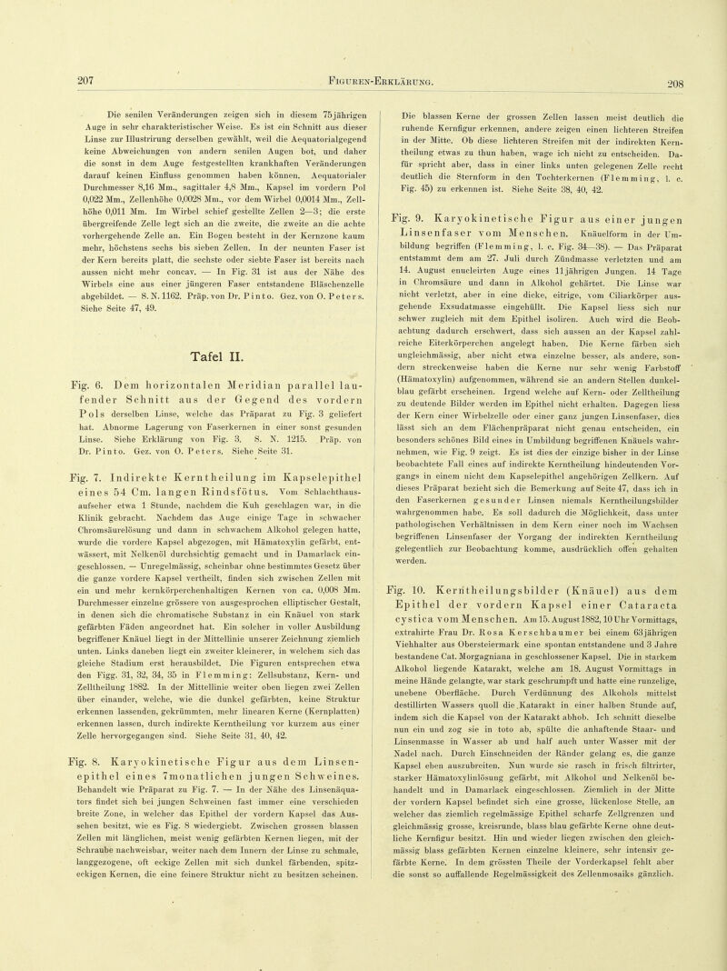 208 Die senilen Veränderungen zeigen sich in diesem 75jährigen Auge in sehr charakteristischer Weise. Es ist ein Schnitt aus dieser Linse zur Illustrirung derselben gewählt, weil die Aequatorialgegend keine Abweichungen von andern senilen Augen bot, und daher die sonst in dem Auge festgestellten krankhaften Veränderungen darauf keinen Einfiuss genommen haben können. Aequatorialer Durchmesser 8,16 Mm., sagittaler 4,8 Mm., Kapsel im vordem Pol 0,022 Mm., Zellenhöhe 0,0028 Mm., vor dem Wirbel 0,0014 Mm., Zell- höhe 0,011 Mm. Im Wirbel schief gestellte Zellen 2—3; die erste übergreifende Zelle legt sich an die zweite, die zweite an die achte vorhergehende Zelle an. Ein Bogen besteht in der Kernzone kaum mehr, höchstens sechs bis sieben Zellen. In der neunten Faser ist der Kern bereits platt, die sechste oder siebte Faser ist bereits nach aussen nicht mehr concav. — In Fig. 31 ist aus der Nähe des Wirbels eine aus einer jüngeren Faser entstandene Bläschenzelle abgebildet. — S. N. 1162. Präp. von Dr. Pinto. Gez. von O.Peters. Siehe Seite 47, 49. Tafel II. Fig. 6. Dem horizontalen Meridian parallel lau- fender Schnitt aus der Gegend des vordem Pols derselben Linse, welche das Präparat zu Fig. 3 geliefert hat. Abnorme Lagerung von Faserkernen in einer sonst gesunden Linse. Siehe Erklärung von Fig. 3. S. N. 1215. Präp. von Dr. Pinto. Gez. von O. Peters. Siehe Seite 31. Fig. 7. Indirekte Kerntheilung im Kapselepithel eines 54 Cm. langen Rindsfötus. Vom Schlachthaus- aufseher etwa 1 Stunde, nachdem die Kuh geschlagen war, in die Klinik gebracht. Nachdem das Auge einige Tage in schwacher Chromsäurelösung und dann in schwachem Alkohol gelegen hatte, wurde die vordere Kapsel abgezogen, mit Hämatoxylin gefärbt, ent- wässert, mit Nelkenöl durchsichtig gemacht und in Damarlack ein- geschlossen. — Unregelmässig, scheinbar ohne bestimmtes Gesetz über die ganze vordere Kapsel vertheilt, finden sich zwischen Zellen mit ein und mehr kernkörperchenhaltigen Kernen von ca. 0,008 Mm. Durchmesser einzelne grössere von ausgesprochen elliptischer Gestalt, in denen sich die chromatische Substanz in ein Knäuel von stark gefärbten Fäden angeordnet hat. Ein solcher in voller Ausbildung begriffener Knäuel liegt in der Mittellinie unserer Zeichnung ziemlich unten. Links daneben liegt ein zweiter kleinerer, in welchem sich das gleiche Stadium erst herausbildet. Die Figuren entsprechen etwa den Figg. 31, 32, 34, 35 in F1 e m m i n g: Zellsubstanz, Kern- und Zelltheilung 1882. In der Mittellinie weiter oben liegen zwei Zellen über einander, welche, wie die dunkel gefärbten, keine Struktur erkennen lassenden, gekrümmten, mehr linearen Kerne (Kernplatten) erkennen lassen, durch indirekte Kerntheilung vor kurzem aus einer Zelle hervorgegangen sind. Siehe Seite 31, 40, 42. Fig. 8. Karyokinetische Figur aus dem Linsen- epithel eines 7monatlichen jungen Schweines. Behandelt wie Präparat zu Fig. 7. — In der Nähe des Linsenäqua- tors findet sich bei jungen Schweinen fast immer eine verschieden breite Zone, in welcher das Epithel der vordem Kapsel das Aus- sehen besitzt, wie es Fig. 8 wiedergiebt. Zwischen grossen blassen Zellen mit länglichen, meist wenig gefärbten Kernen liegen, mit der Schraube nachweisbar, weiter nach dem Innern der Linse zu schmale, langgezogene, oft eckige Zellen mit sich dunkel färbenden, spitz- eckigen Kernen, die eine feinere Struktur nicht zu besitzen scheinen. Die blassen Kerne der grossen Zellen lassen meist deutlich die ruhende Kernfigur erkennen, andere zeigen einen lichteren Streifen in der Mitte. Ob diese lichteren Streifen mit der indirekten Kern- theilung etwas zu thun haben, wage ich nicht zu entscheiden. Da- für spricht aber, dass in einer links unten gelegenen Zelle recht deutlich die Sternform in den Tochterkernen (Flemming, 1. c. Fig. 45) zu erkennen ist. Siehe Seite 38, 40, 42. Fig. 9. Karyokinetische Figur aus einer jungen Linsenfaser vom Menschen. Knäuelform in der Um- bildung begriffen (Flemming, 1. c. Fig. 34—38). — Das Präparat entstammt dem am 27. Juli durch Zündmasse verletzten und am 14. August enucleirten Auge eines 11jährigen Jungen. 14 Tage in Chromsäure und dann in Alkohol gehärtet. Die Linse war nicht verletzt, aber in eine dicke, eitrige, vom Ciliarkörper aus- gehende Exsudatmasse eingehüllt. Die Kapsel Hess sich nur schwer zugleich mit dem Epithel isoliren. Auch wird die Beob- achtung dadurch erschwert, dass sich aussen an der Kapsel zahl- reiche Eiterkörperchen angelegt haben. Die Kerne färben sich ungleichmässig, aber nicht etwa einzelne besser, als andere, son- dern streckenweise haben die Kerne nur sehr wenig Farbstoff (Hämatoxylin) aufgenommen, während sie an andern Stellen dunkel- blau gefärbt erscheinen. Irgend welche auf Kern- oder Zelltheilung zu deutende Bilder werden im Epithel nicht erhalten. Dagegen Hess der Kern einer Wirbelzelle oder einer ganz jungen Linsenfaser, dies lässt sich an dem Flächenpräparat nicht genau entscheiden, ein besonders schönes Bild eines in Umbildung begriffenen Knäuels wahr- nehmen, wie Fig. 9 zeigt. Es ist dies der einzige bisher in der Linse beobachtete Fall eines auf indirekte Kerntheilung hindeutenden Vor- gangs in einem nicht dem Kapselepithel angehörigen Zellkern. Auf dieses Präparat bezieht sich die Bemerkung auf Seite 47, dass ich in den Faserkernen gesunder Linsen niemals Kerntheilungsbilder wahrgenommen habe. Es soll dadurch die Möglichkeit, dass unter pathologischen Verhältnissen in dem Kern einer noch im Wachsen begriffenen Linsenfaser der Vorgang der indirekten Kerntheilung gelegentlich zur Beobachtung komme, ausdrücklich offen gehalten werden. Fig. 10. Kerntheilungsbilder (Knäuel) aus dem Epithel der vordem Kapsel einer Cataracta cysticavomMenschen. Am 15. August 1882,10 Uhr Vormittags, extrahirte Frau Dr. Rosa Kerschbaumer bei einem 63jährigen Viehhalter aus Obersteiermark eine spontan entstandene und 3 Jahre bestandene Cat. Morgagniana in geschlossener Kapsel. Die in starkem Alkohol liegende Katarakt, welche am 18. August Vormittags in meine Hände gelangte, war stark geschrumpft und hatte eine runzelige, unebene Oberfläche. Durch Verdünnung des Alkohols mittelst destillirten Wassers quoll die .Katarakt in einer halben Stunde auf, indem sich die Kapsel von der Katarakt abhob. Ich schnitt dieselbe nun ein und zog sie in toto ab, spülte die anhaftende Staar- und Linsenmasse in Wasser ab und half auch unter Wasser mit der Nadel nach. Durch Einschneiden der Ränder gelang es, die ganze Kapsel eben auszubreiten. Nun wurde sie rasch in frisch filtrirter, starker Hämatoxylinlösung gefärbt, mit Alkohol und Nelkenöl be- handelt und in Damarlack eingeschlossen. Ziemlich in der Mitte der vordem Kapsel befindet sich eine grosse, lückenlose Stelle, an welcher das ziemlich regelmässige Epithel scharfe Zellgrenzen und gleichmässig grosse, kreisrunde, blass blau gefärbte Kerne ohne deut- liche Kernfigur besitzt. Hin und wieder liegen zwischen den gleich- mässig blass gefärbten Kernen einzelne kleinere, sehr intensiv ge- färbte Kerne. In dem grössten Theile der Vorderkapsel fehlt aber die sonst so auffallende Regelmässigkeit des Zellenmosaiks gänzlich.