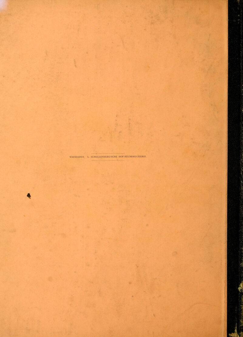 I WIESBADEN. L. SCHELLENBERG'SCHE HOF-BUCHDRUCKEREI.